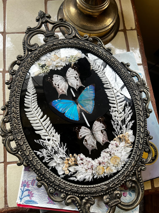 Morpho Vintage Butterfly Floral Entomology Gothic Cottagecore Dark Artwork