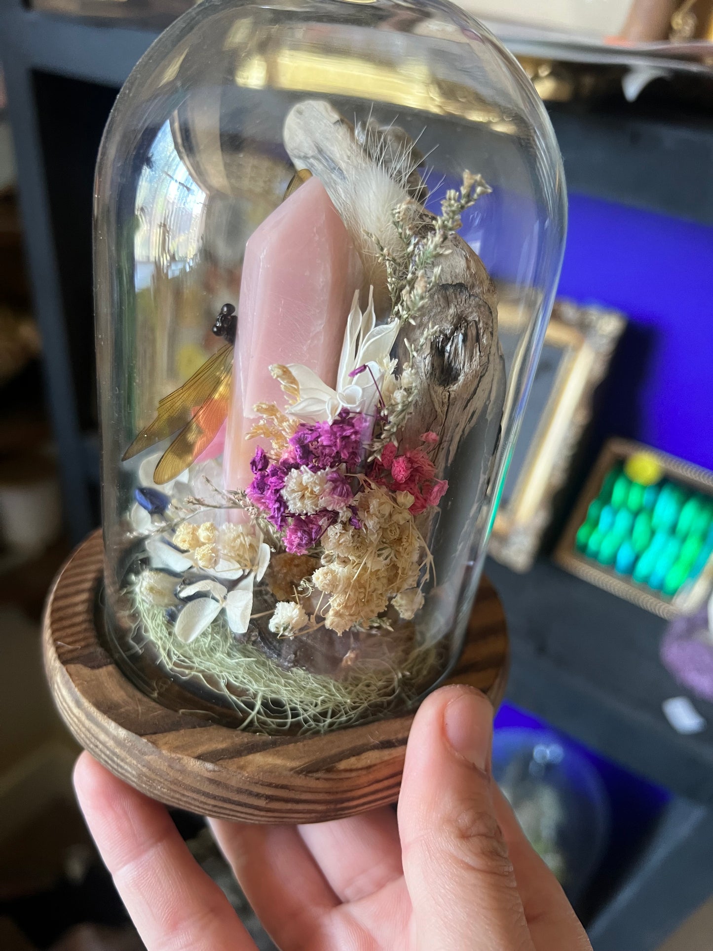 Nature Taxidermy Entomology Art with Hedgehog skull and Yellow Dragonfly in Cloche Glass Dome