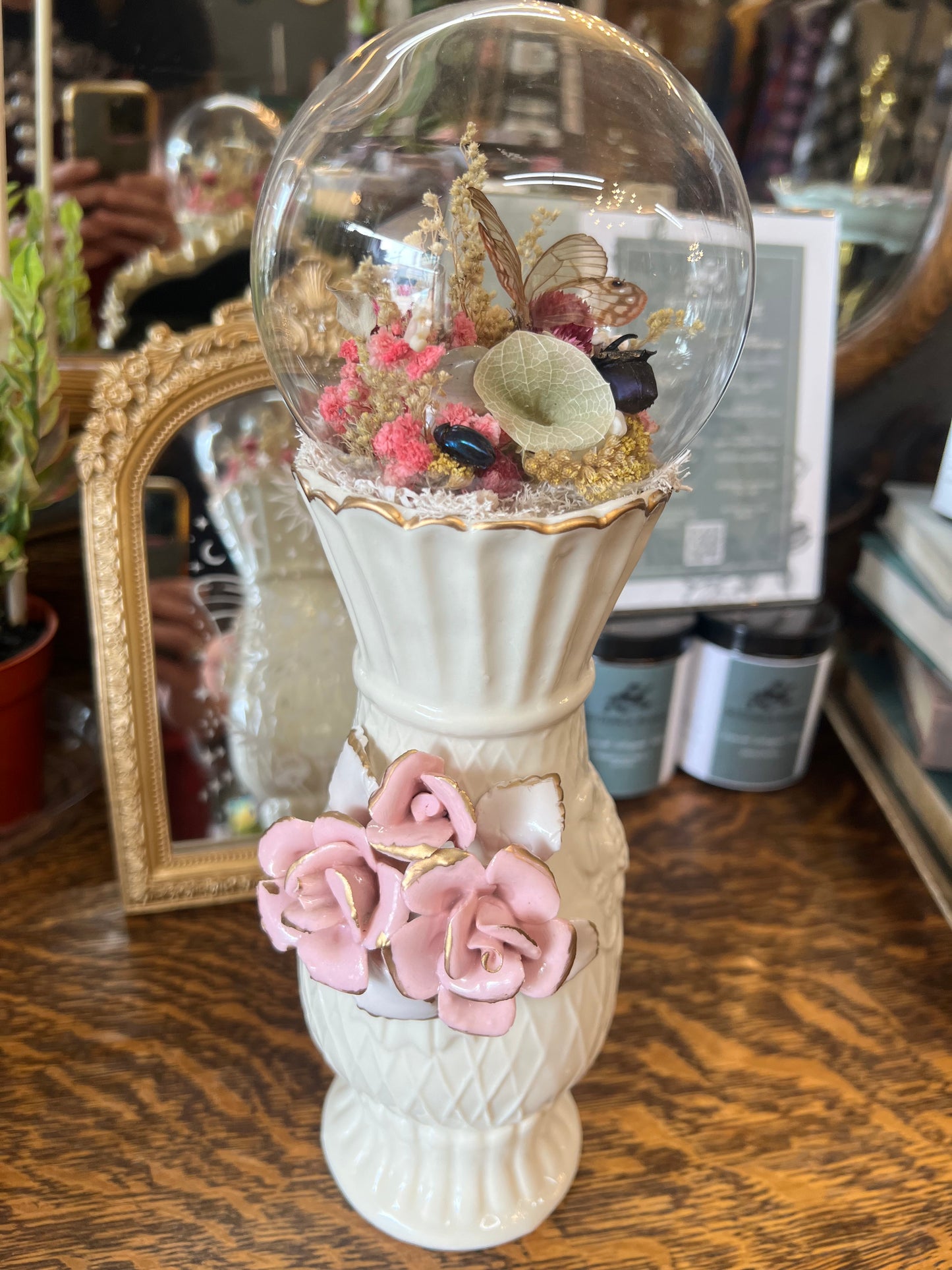 Frances Butterfly Beetle Insect Dried Flower Botanical Animal Bones Glass Dome Vintage Ceramic Artwork