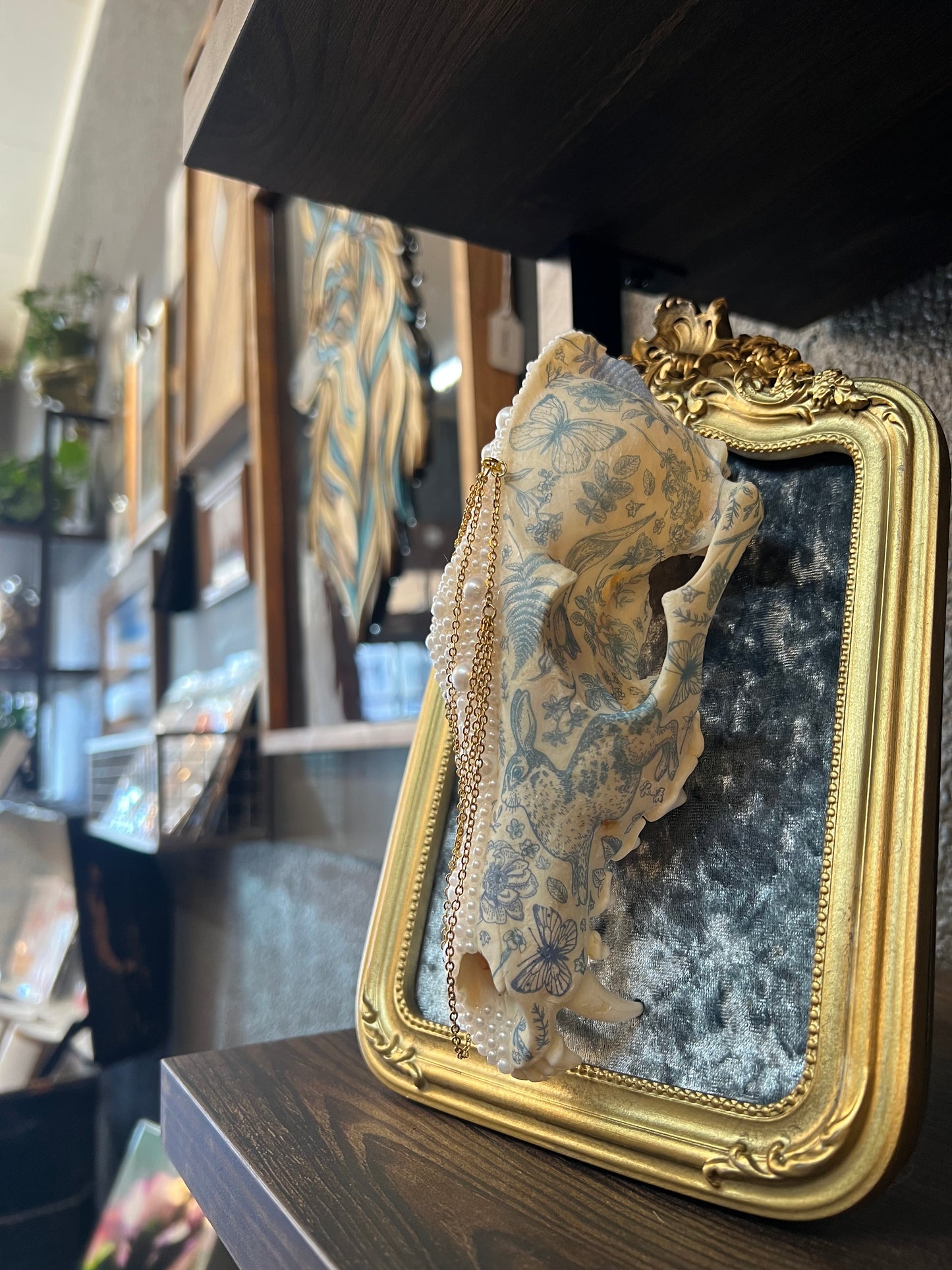Ophelis Coyote Skull Faux Pearl Botanical Chained Gold Ornate Framed Oddities Taxidermy Artwork