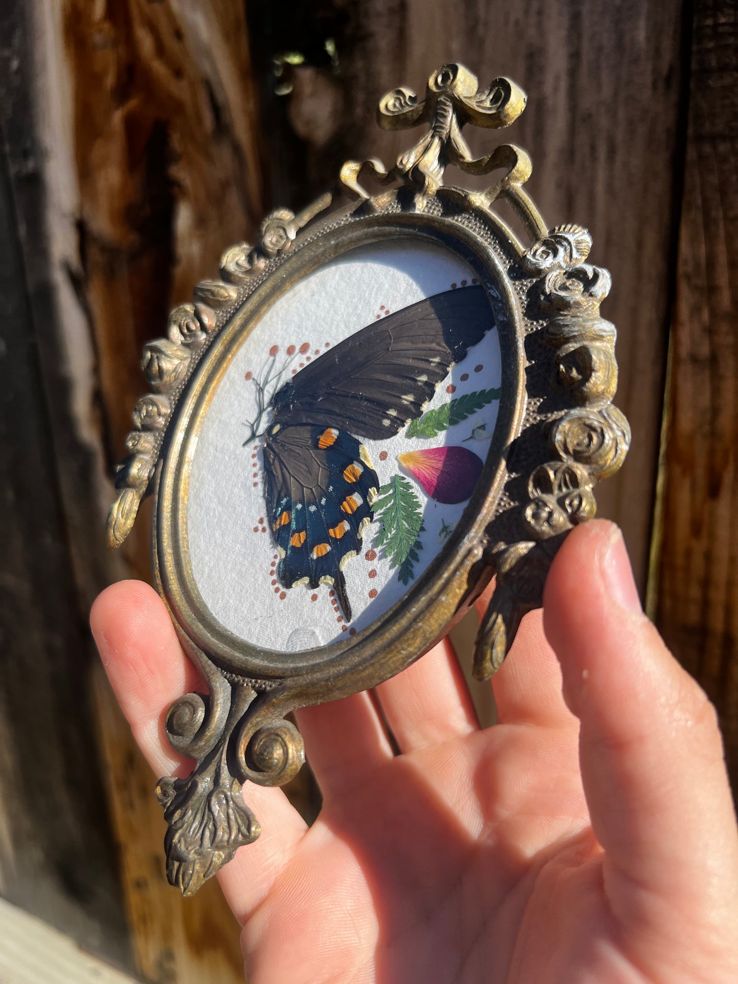 Antique Metal framed butterfly wings