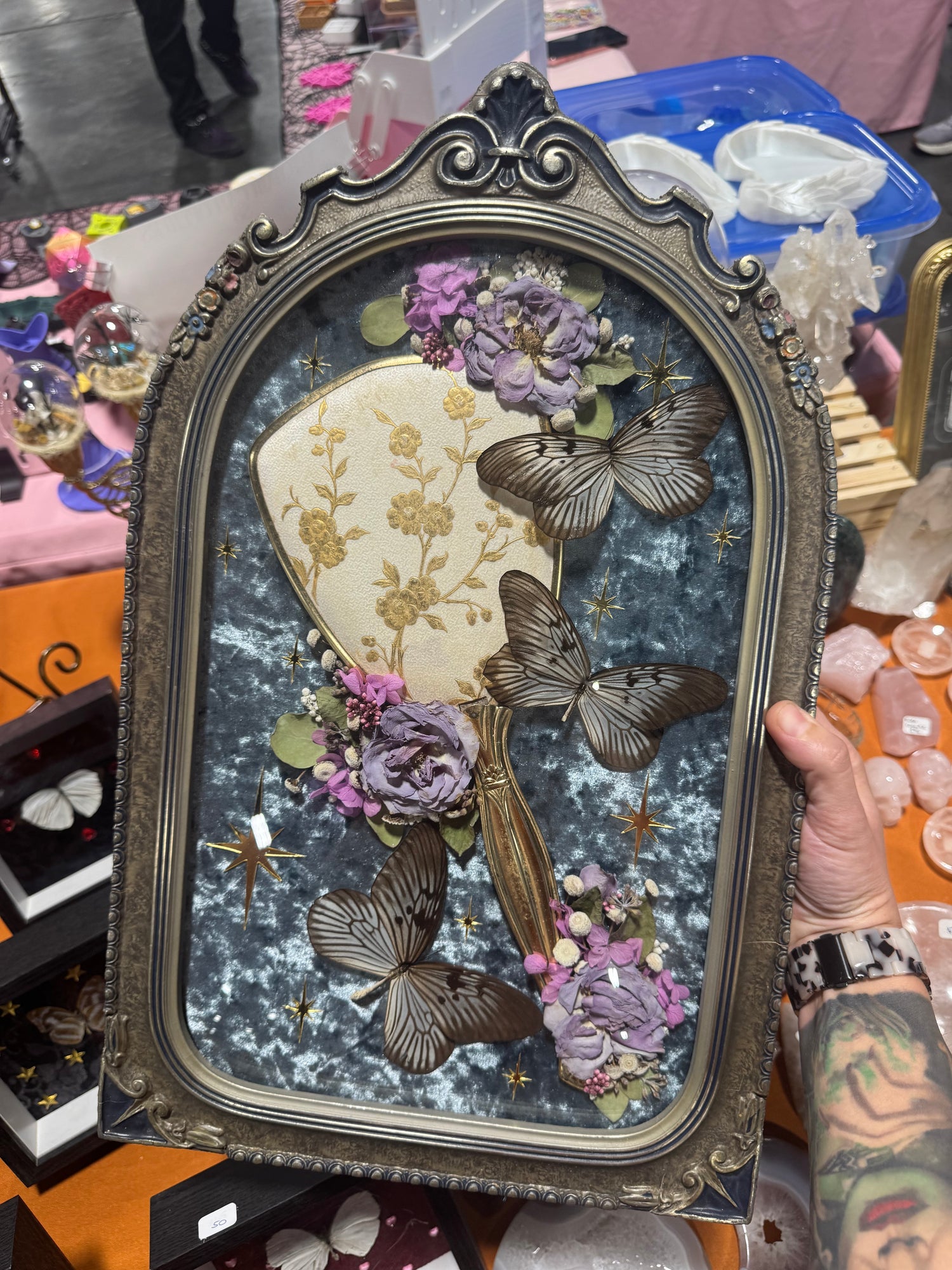 Oddities & Taxidermy