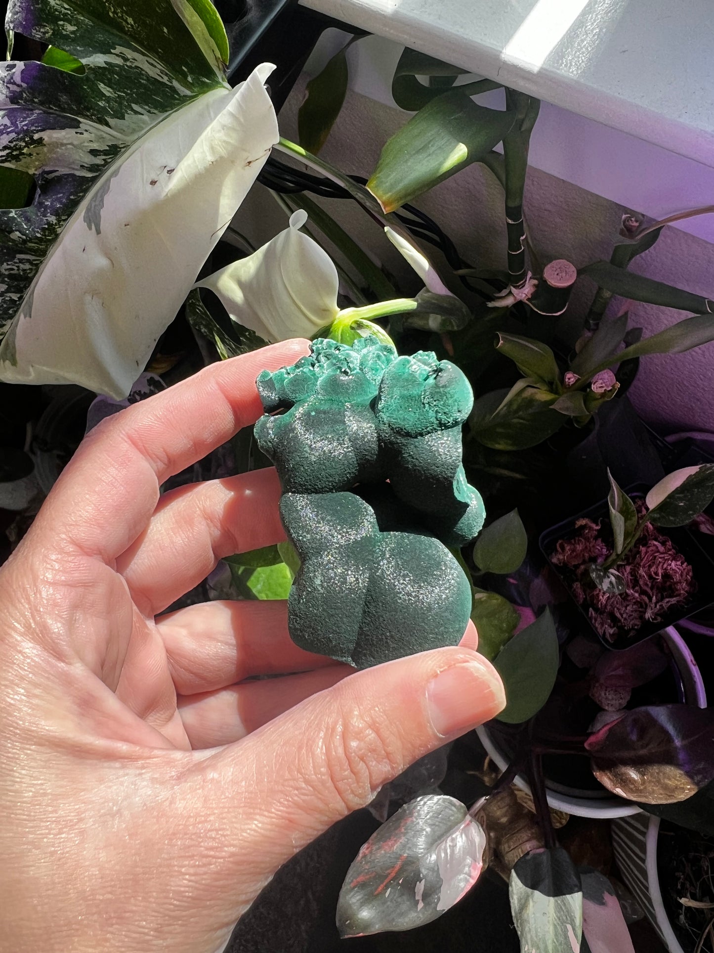 Botryoidal Velvet Fibrous Malachite #C