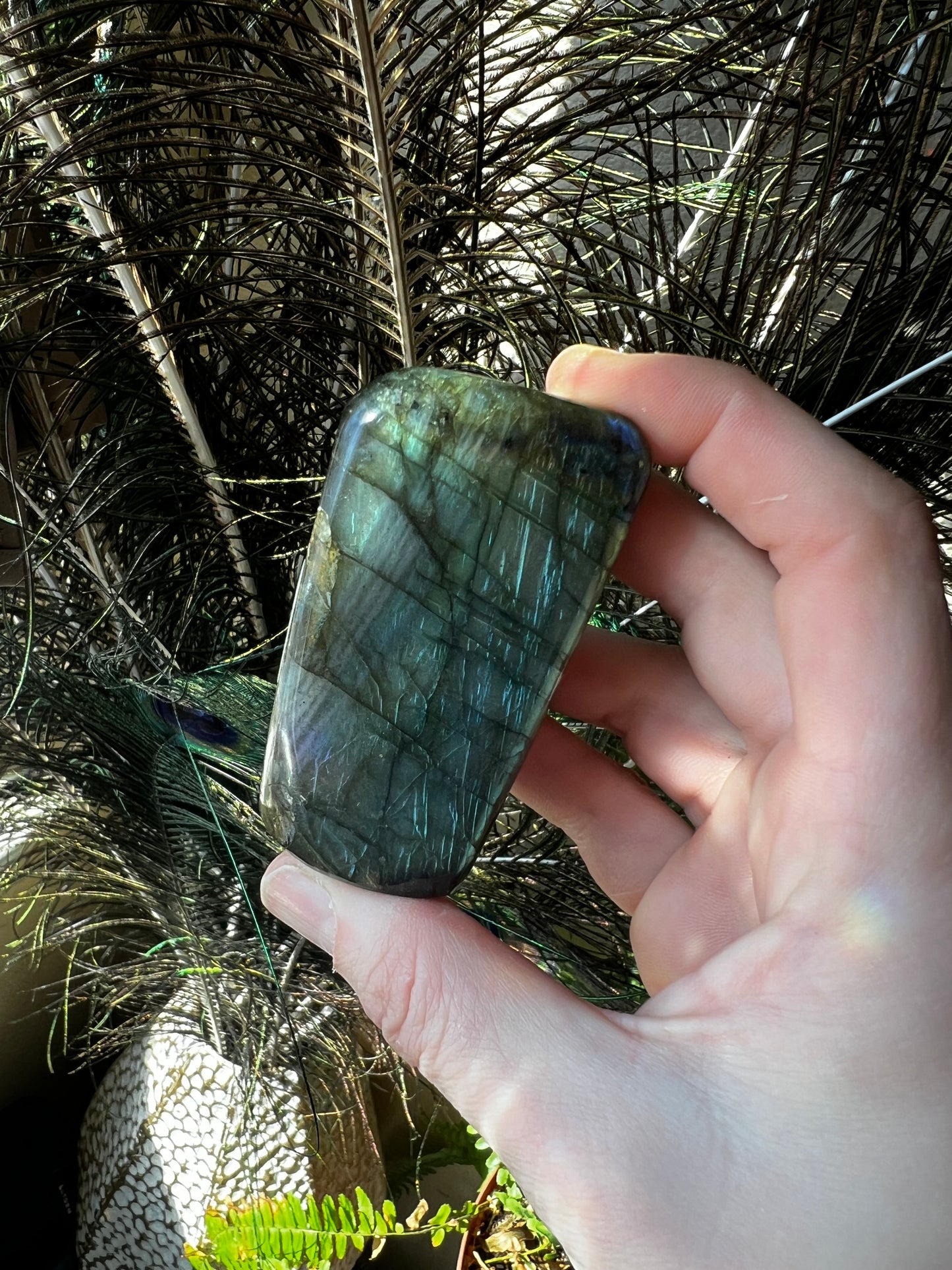 Labradorite Freeform #B