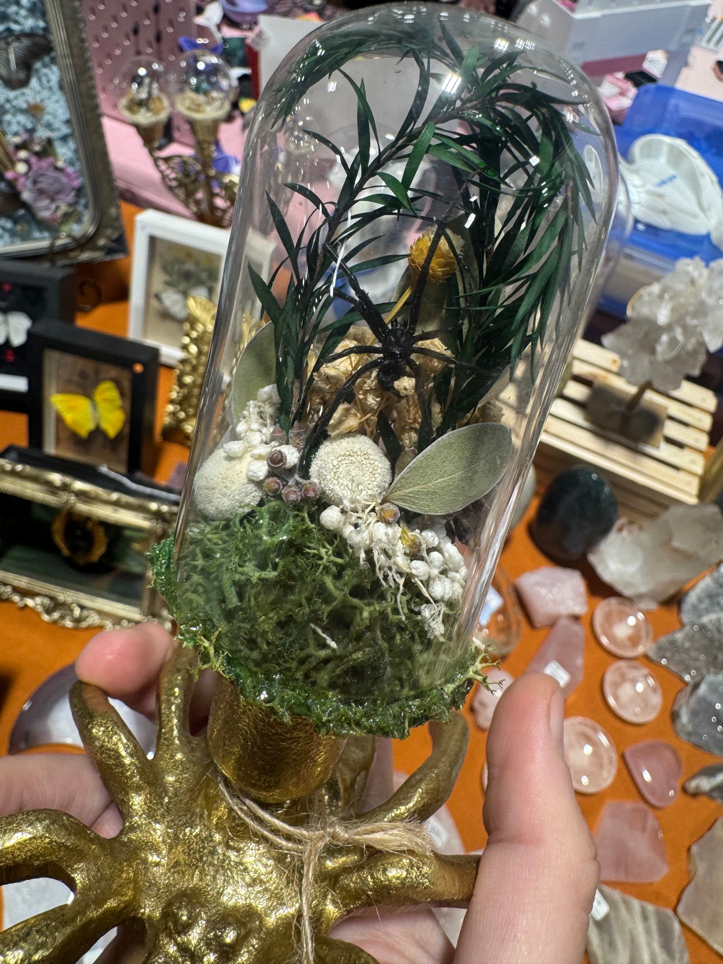 Natasha Black Widow Spider Floral Botanical Glass Dome Artwork