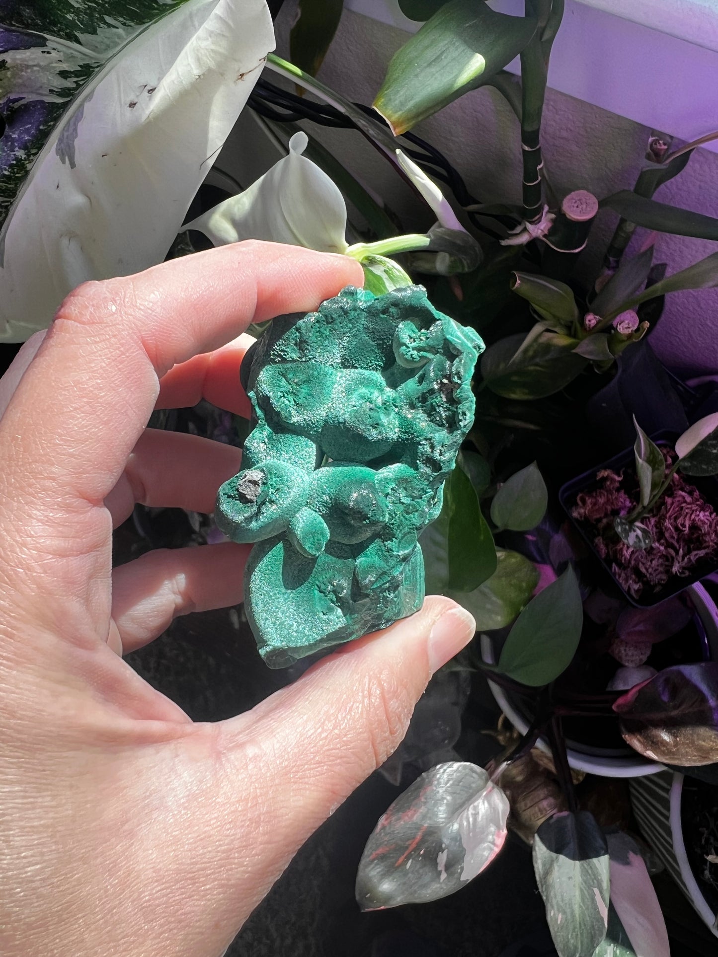 Botryoidal Velvet Fibrous Malachite #C