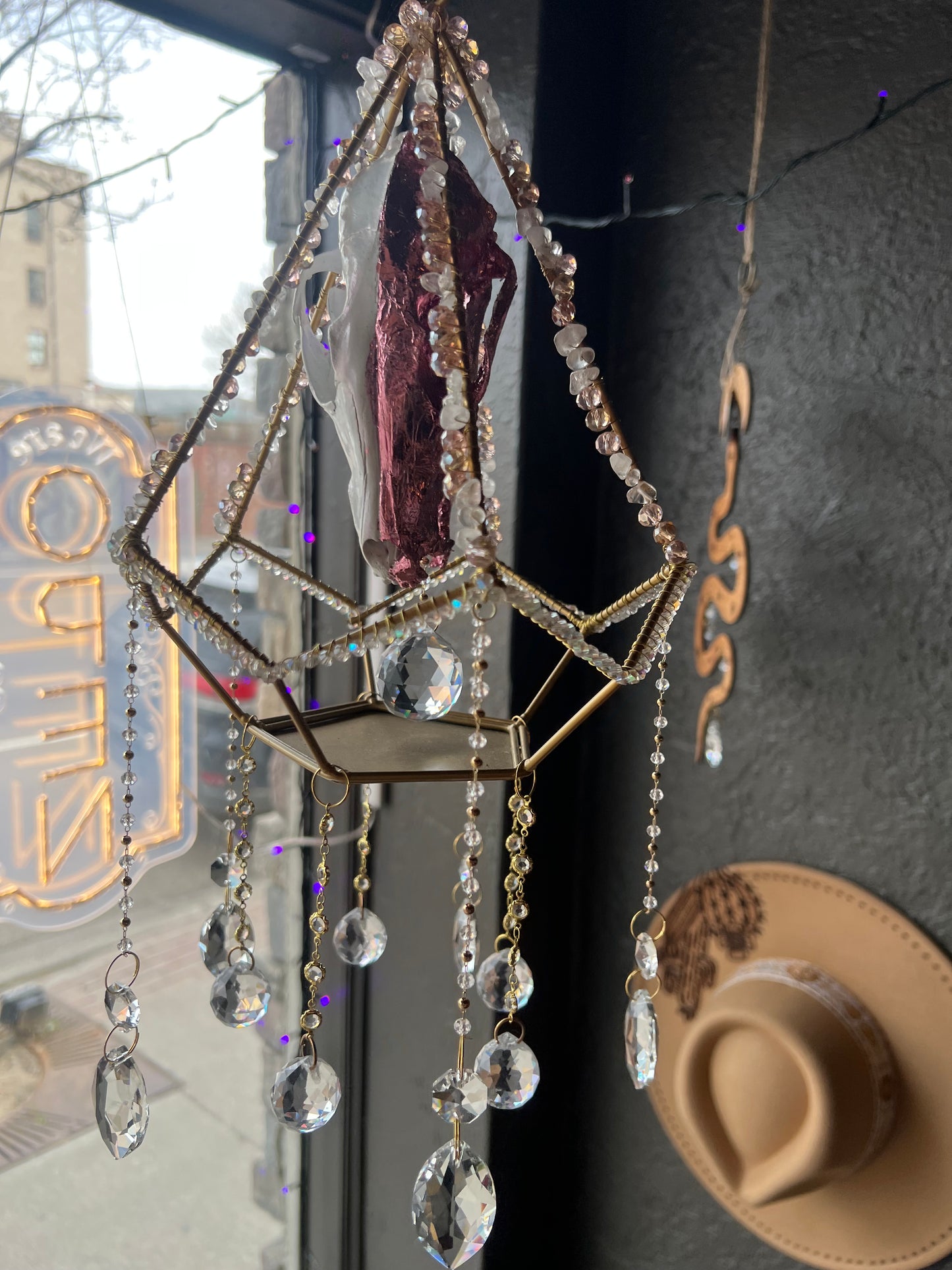 Althea Coyote Skull Mixed Media Taxidermy Oddities Geometric Crystal Suncatcher