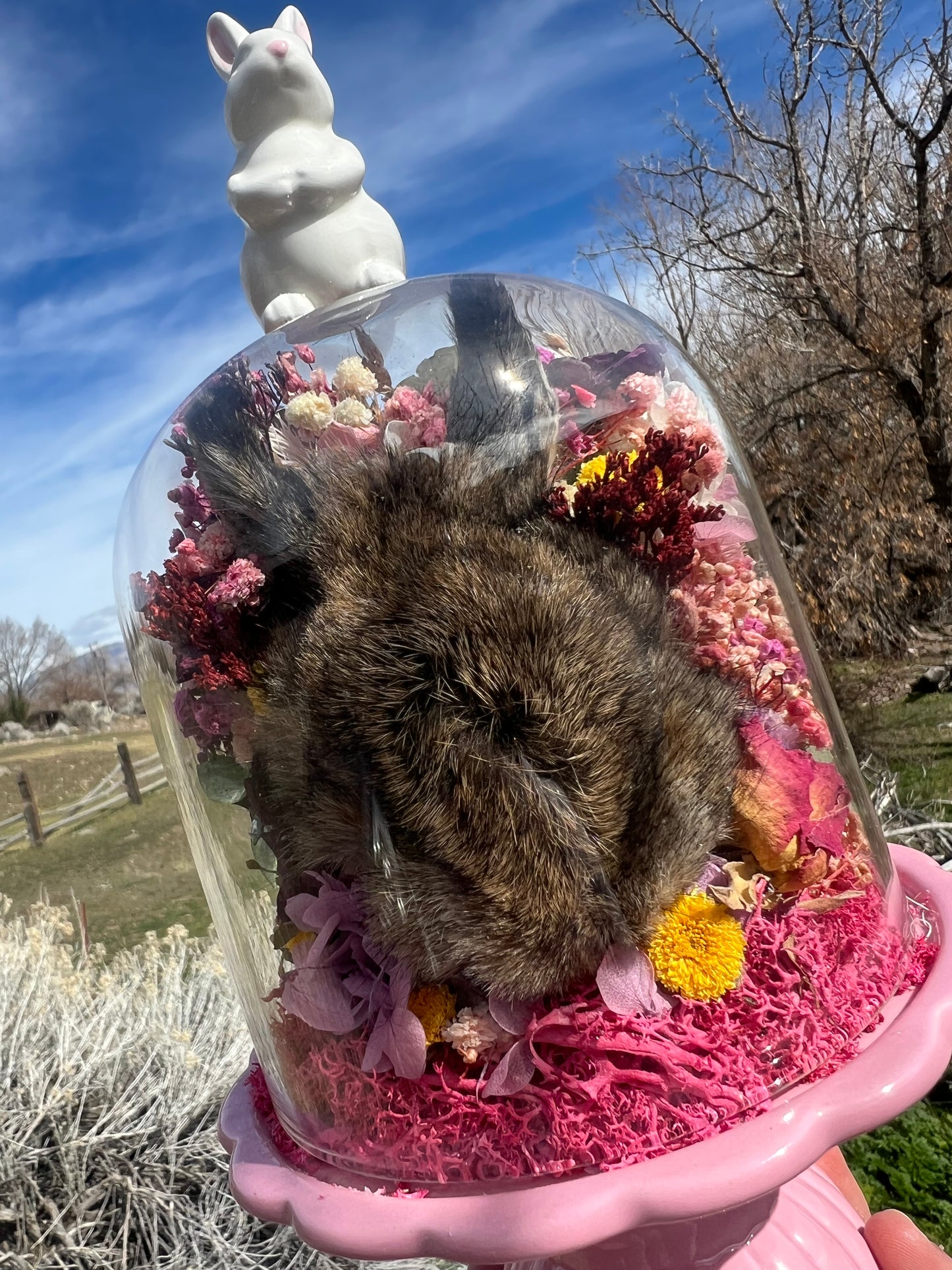 Primrose Rabbit Bunny Head Botanical Dried Flower Pink Spring Oddities Taxidermy Glass Cloche Dome Artwork