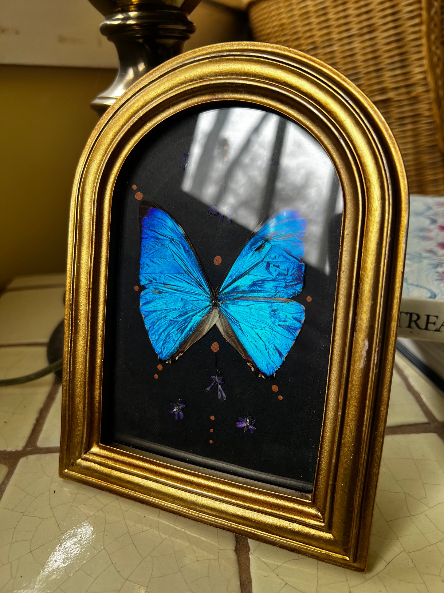 Vintage Style Framed Morpho Butterfly Artwork