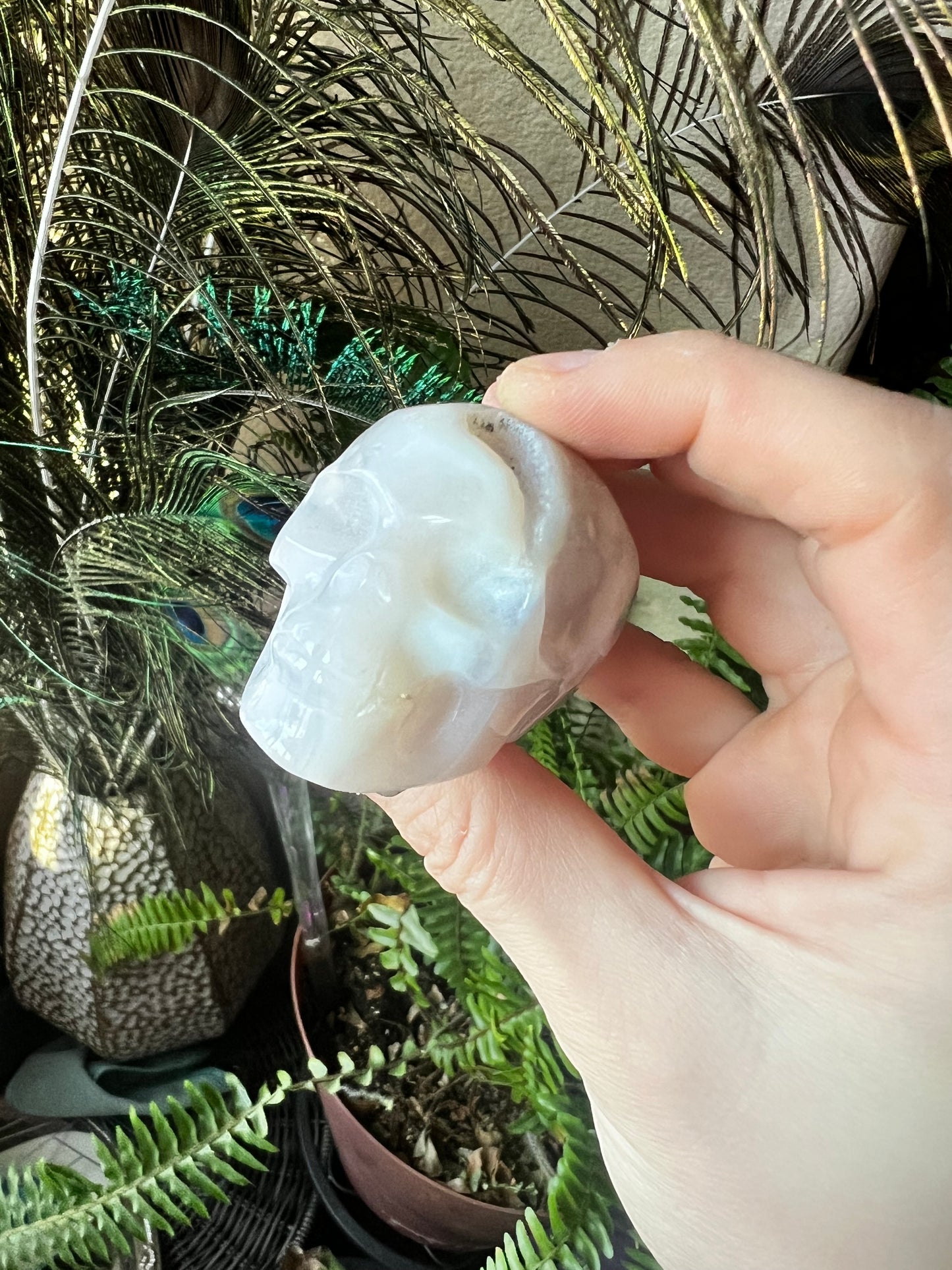 Druzy White Agate Skull