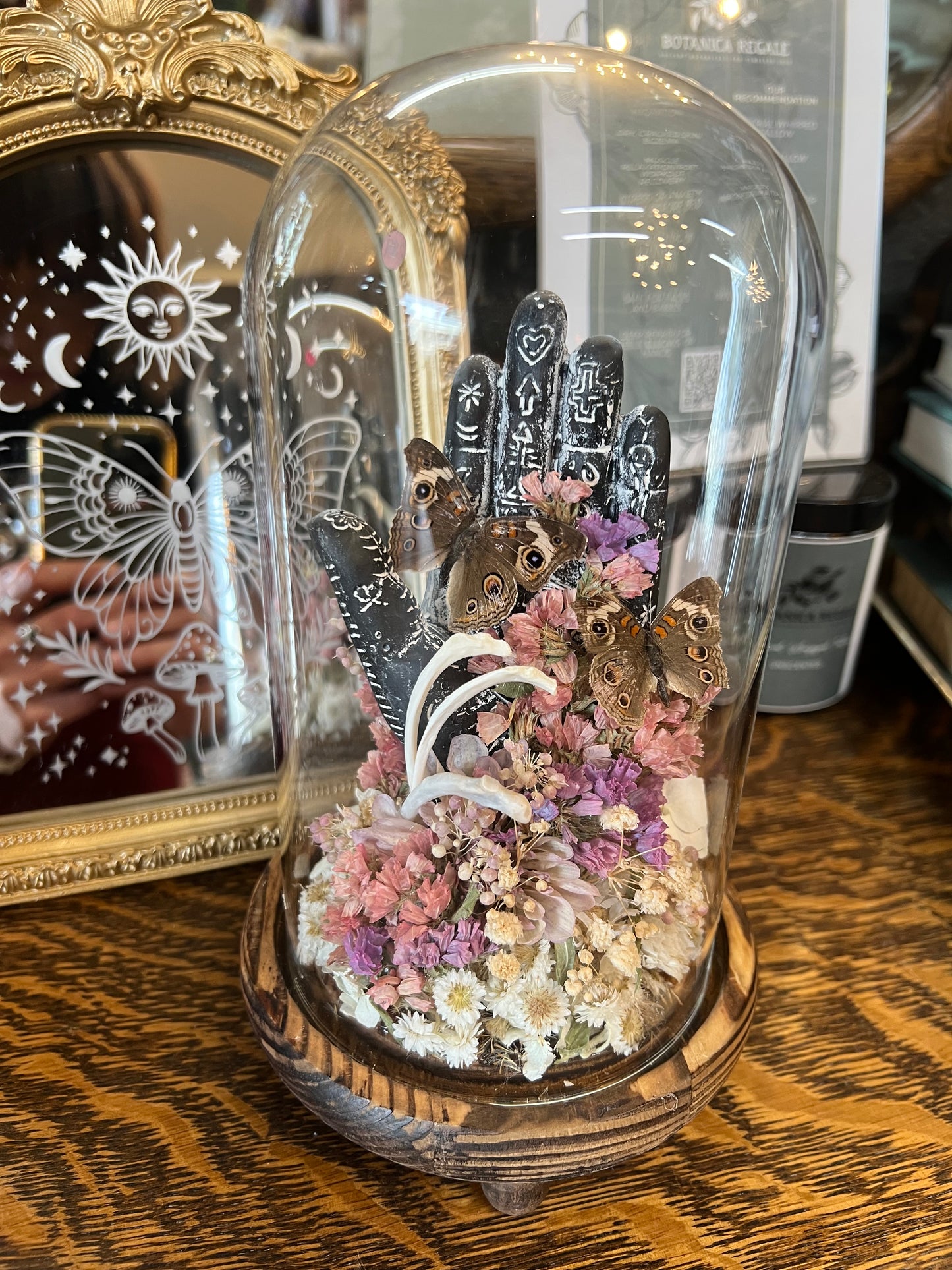 Zadie Butterfly Insect Entomology Animal Bone floral Botanical Oddities Taxidermy Glass Dome Artwotk