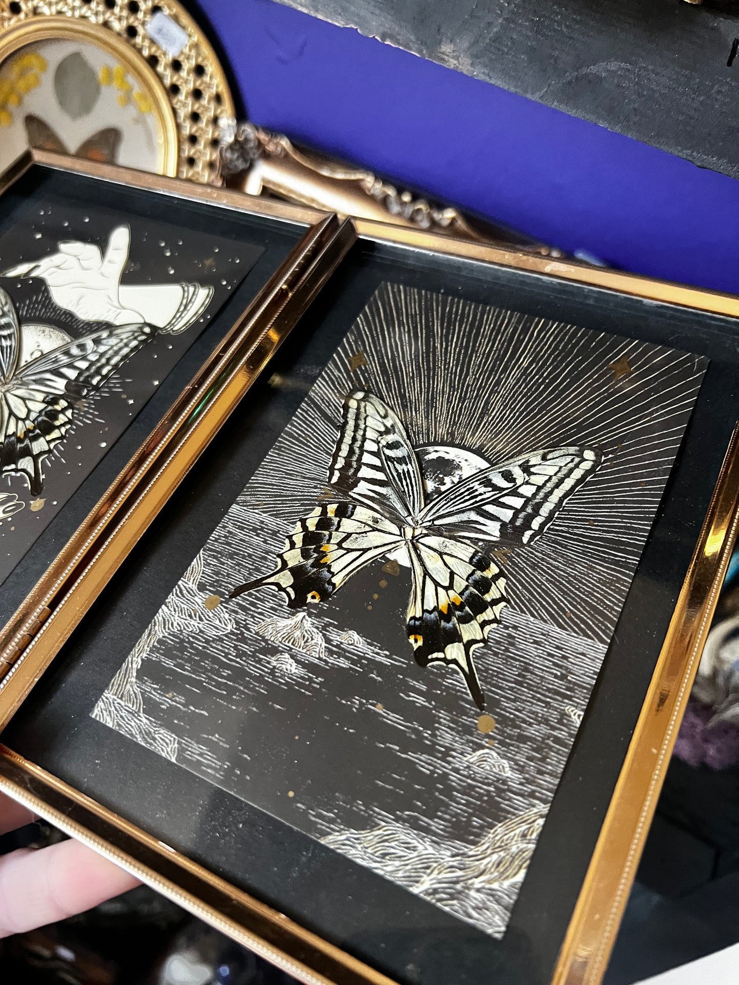 Double Framed Spiritual Art Swallowtail Butterfly Wing Entomology Art