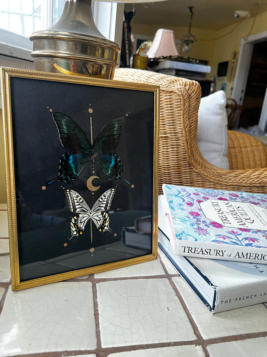 Celestial Vintage Metal Frame Butterfly Entomology Artwork