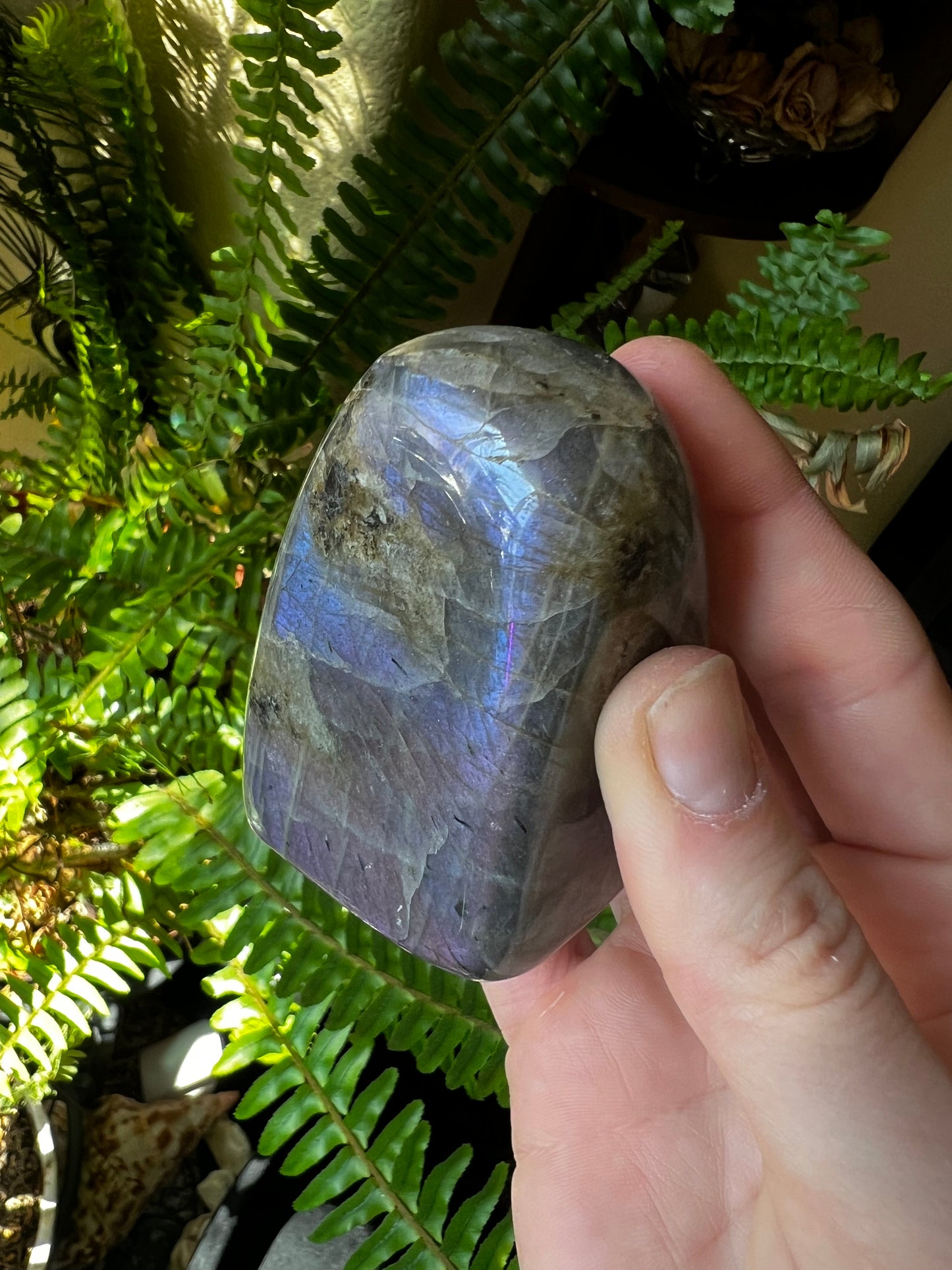 Labradorite Freeform #D