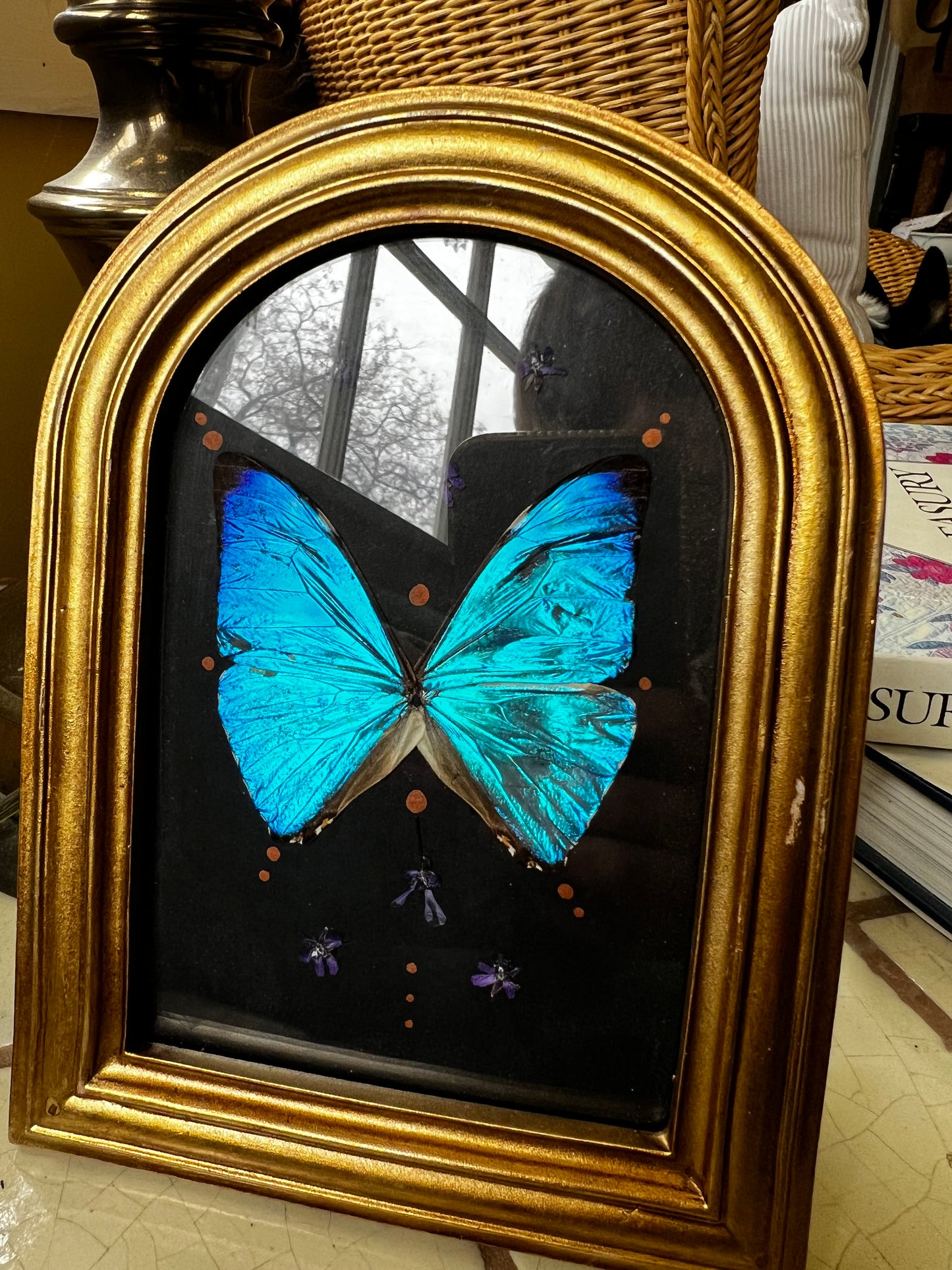 Vintage Style Framed Morpho Butterfly Artwork