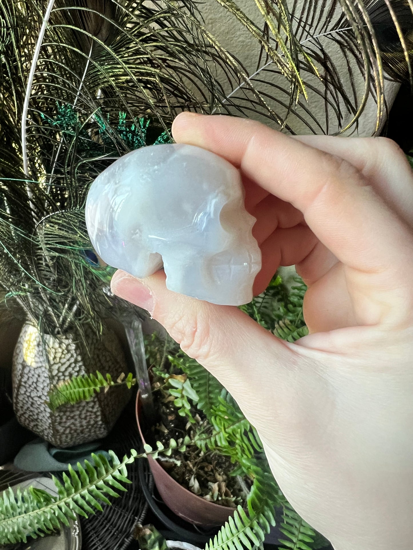 Druzy White Agate Skull