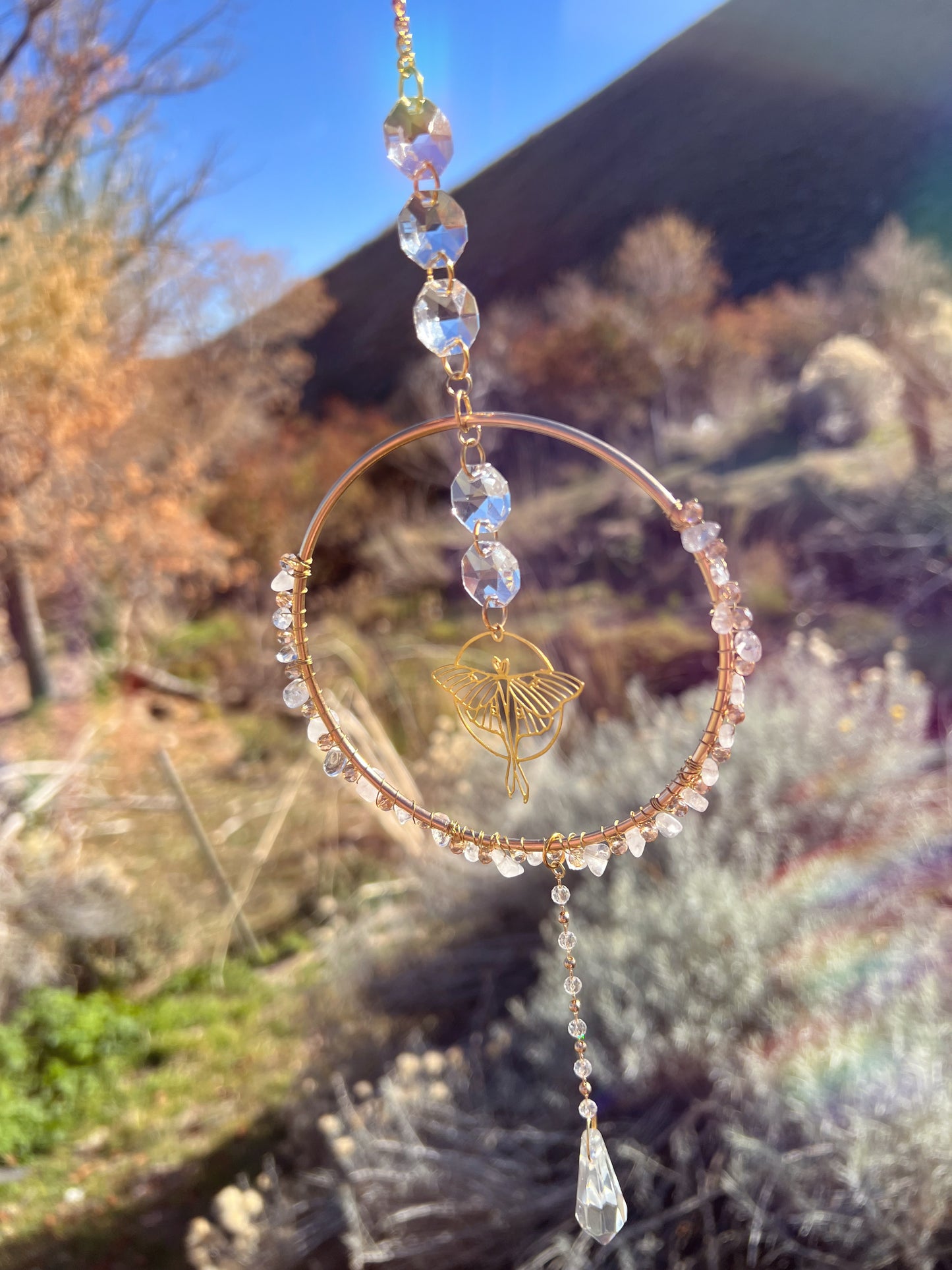 Gillian The Moonlit Moth Halo Suncatcher