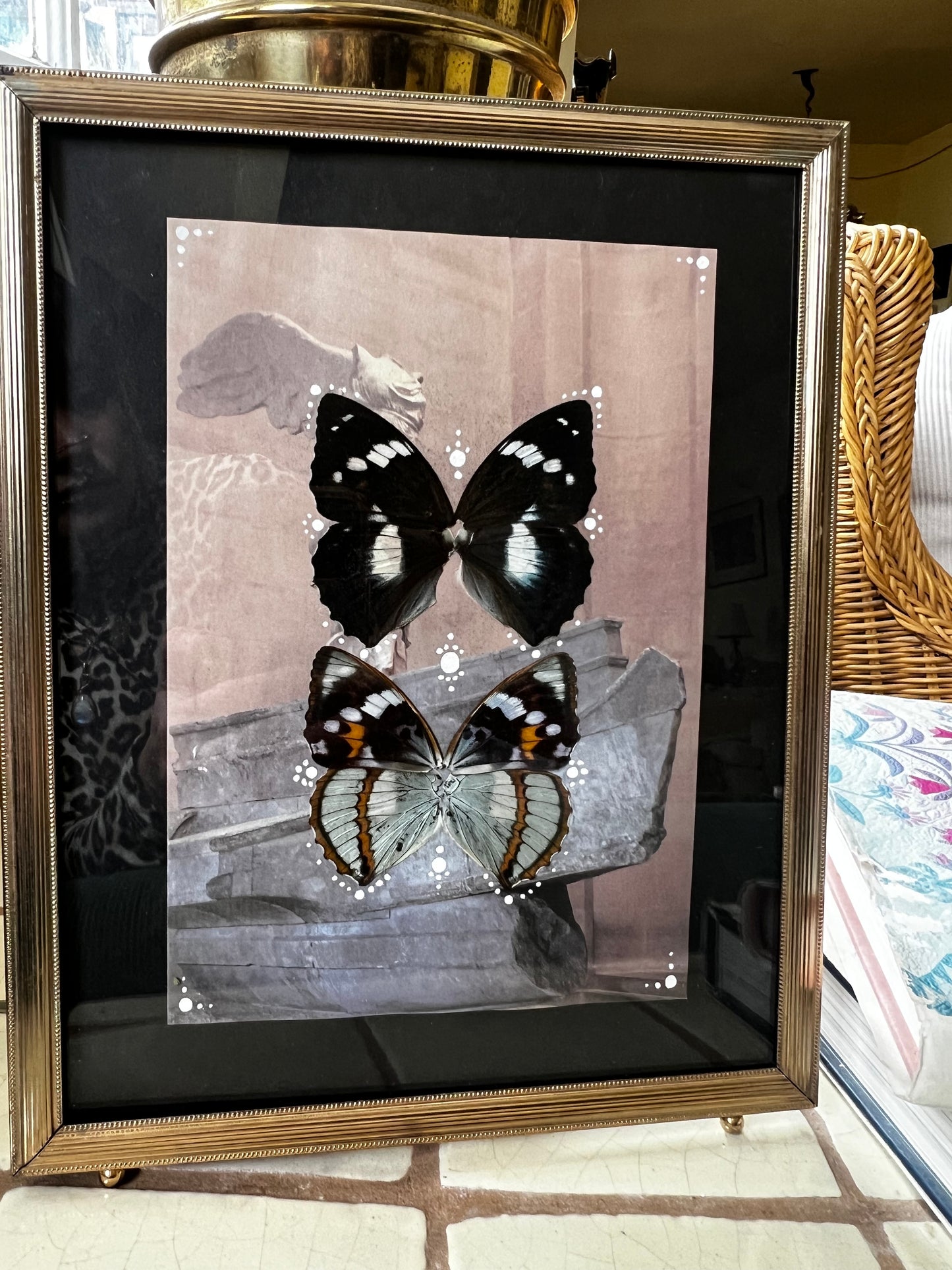 Whimsical Butterfly Wing Entomology Artwork