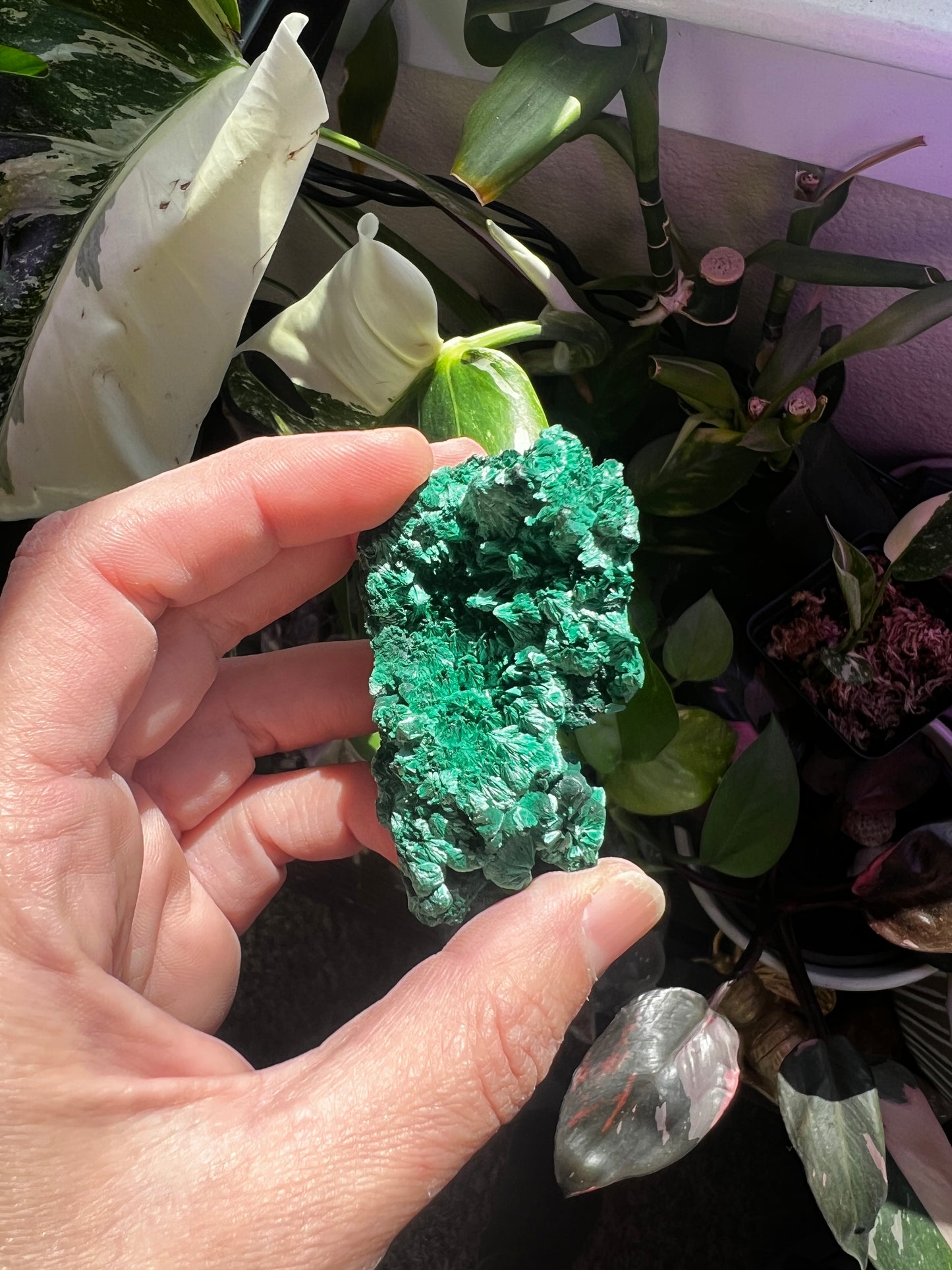 Botryoidal Velvet Fibrous Malachite #B