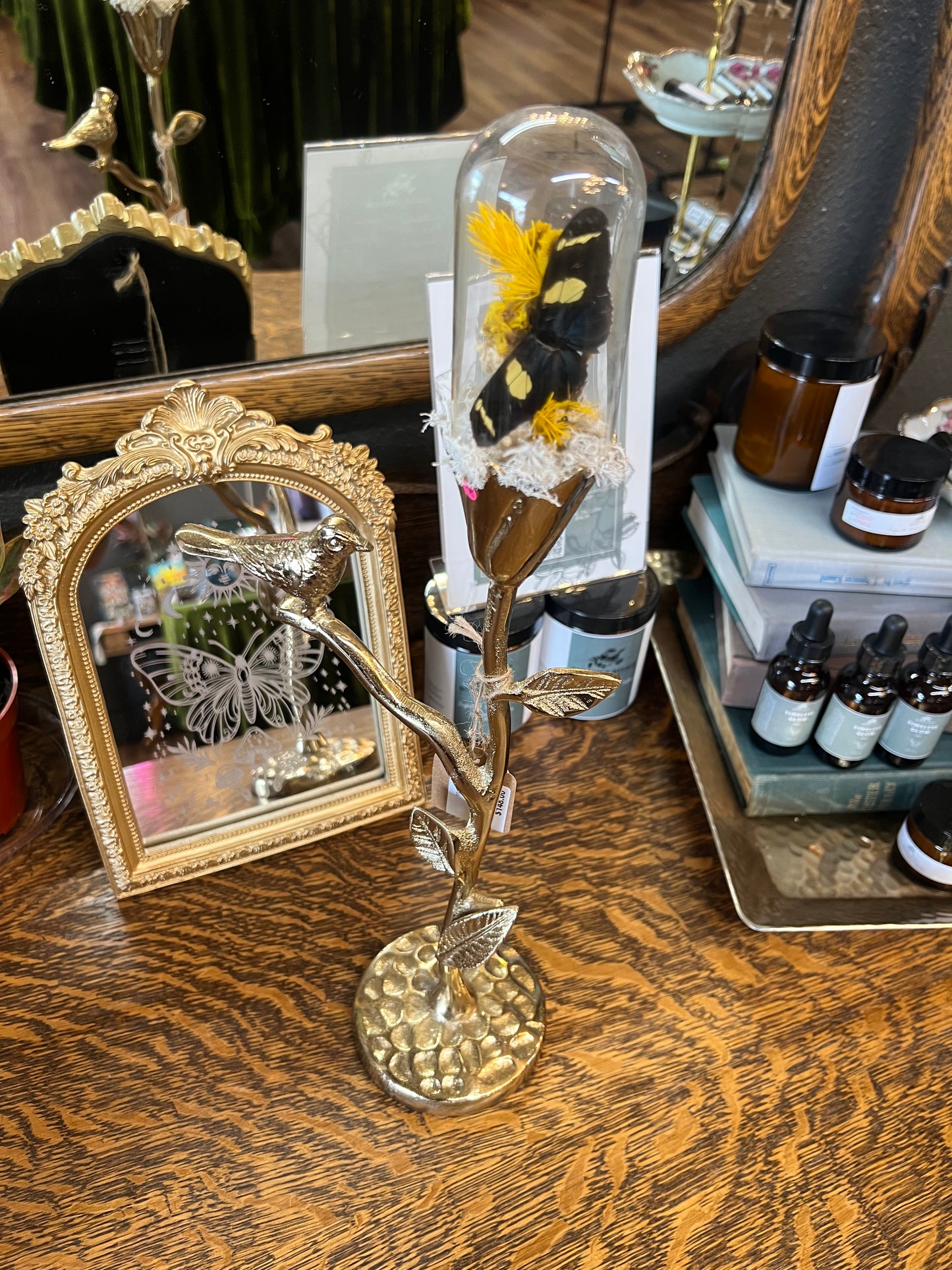 Josiah Butterfly Entomology Floral Botanical Candlestick Glass Dome Oddities Artwork