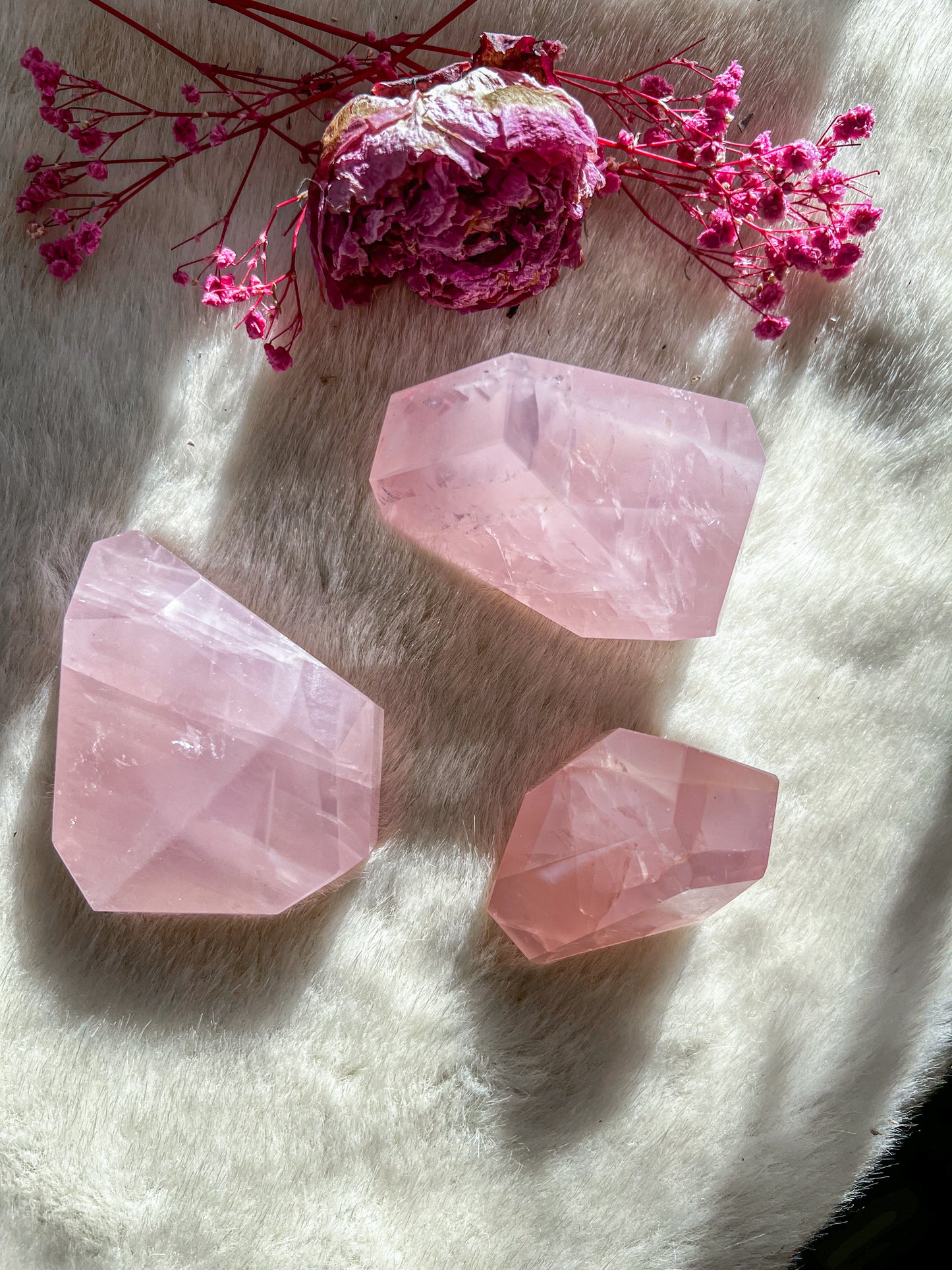 Jelly Rose Quartz Freeform “Gushers”