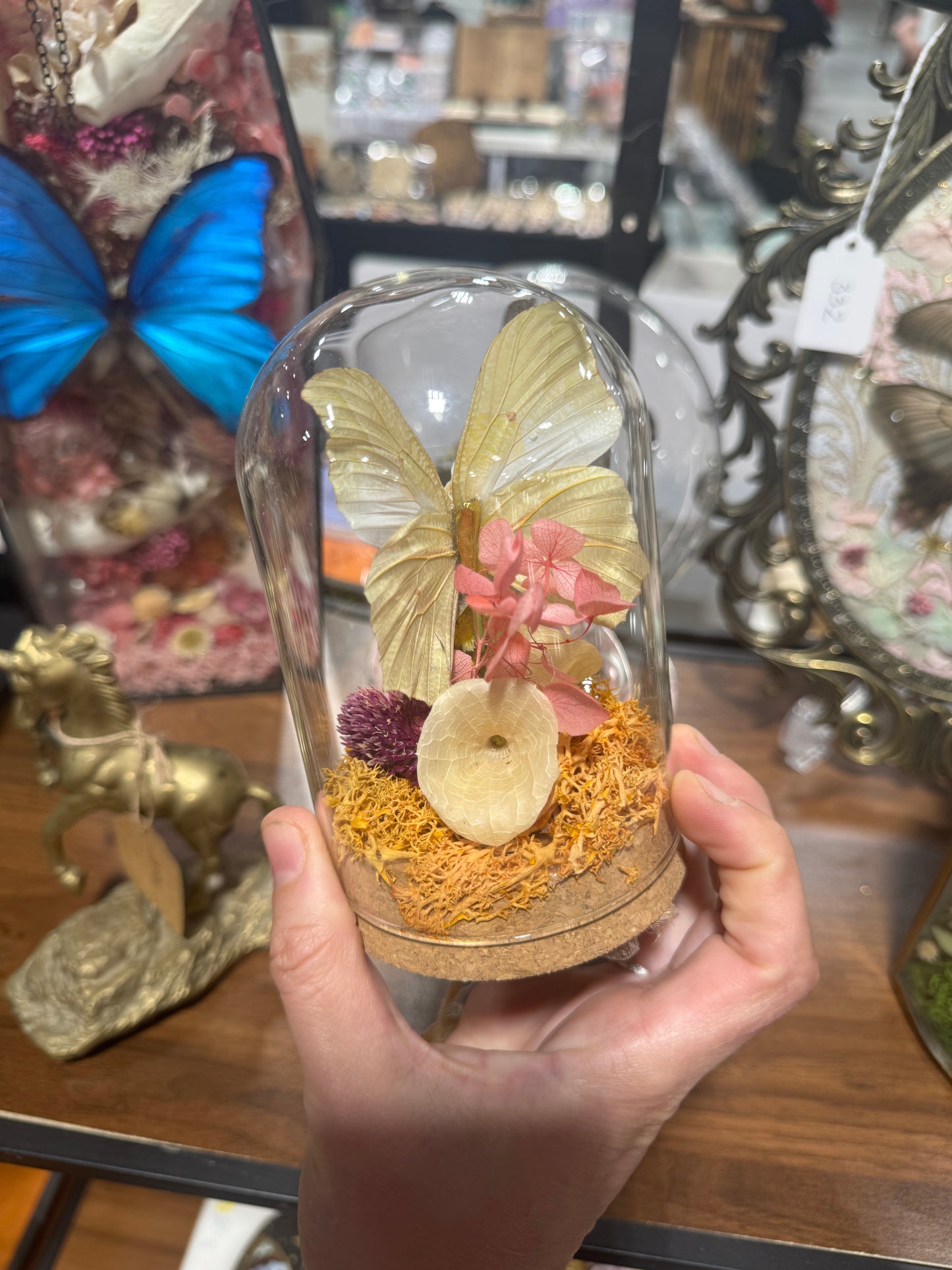 Tooth Fairy Cow Tooth Butterfly Wing Floral Oddities Glass Dome