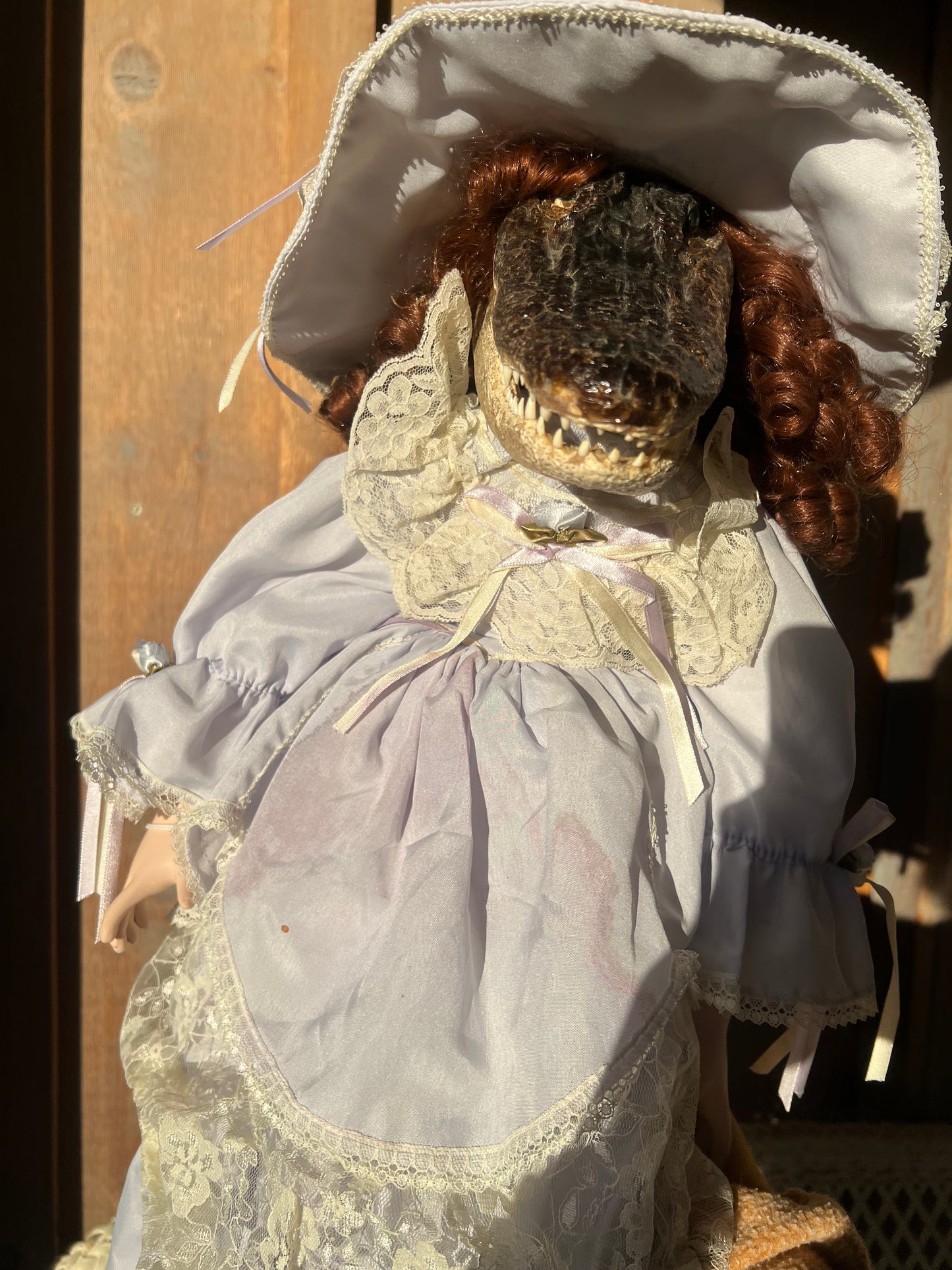 Peggy Sue Alligator Head Doll Taxidermy