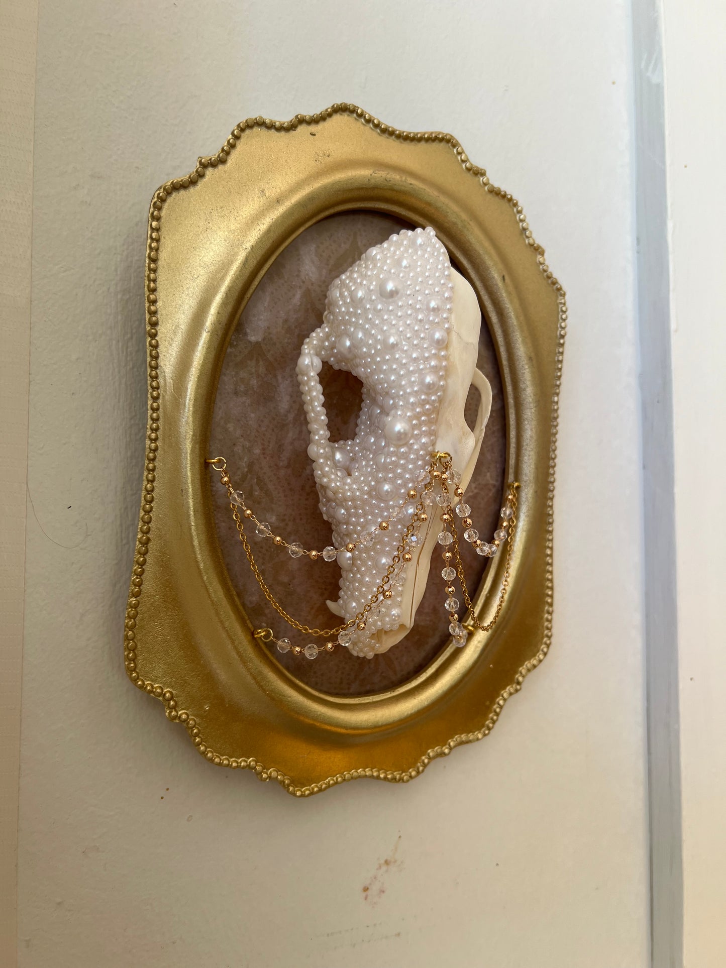 Delphine Fox Skull Faux Pearl Chained Framed Taxidermy Artwork