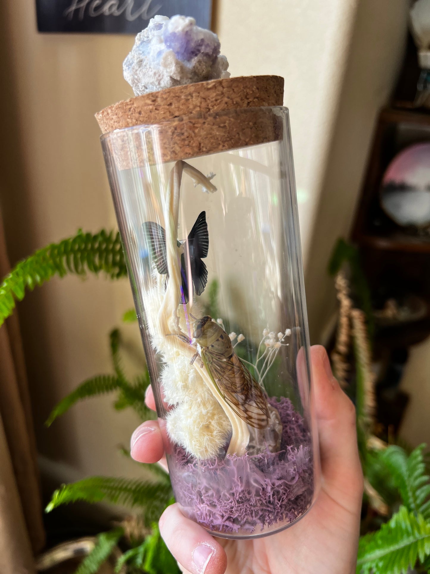 Insect Butterfly Cicada Crystal Curiosity Jar