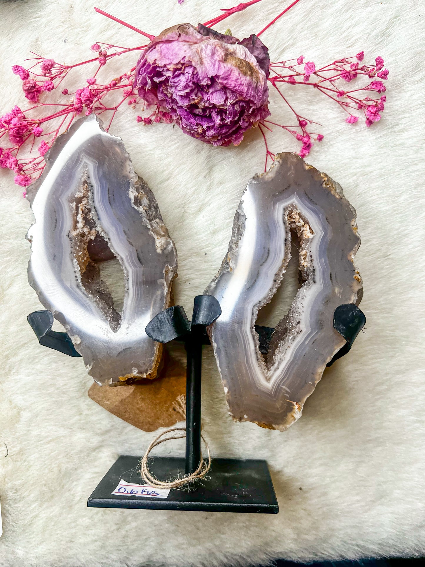 Druzy Agate “Wing” Pair on Stand