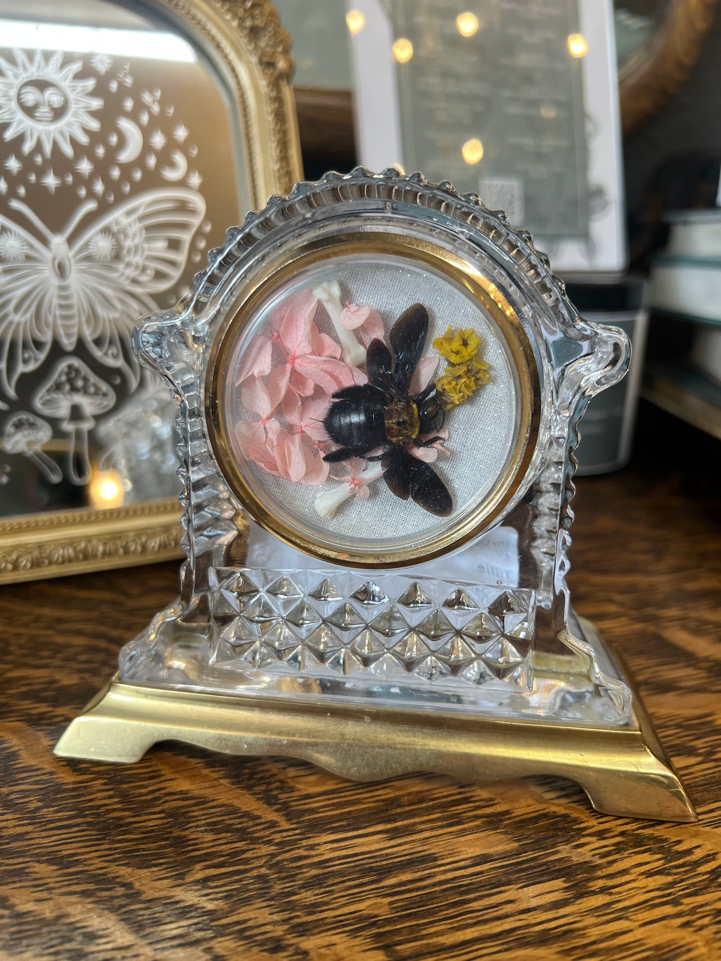 Tillie Bee Insect Entomology Vintage Crystal Clock Dried Flower Oddities Artowork