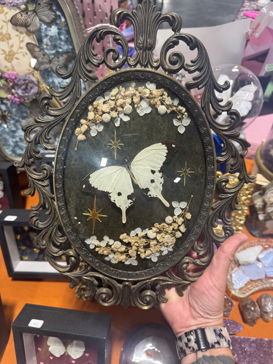 Esme Butterfly Floral Cottagecore Whimsy Celestial Vintage Bubble Glass Framed Artwork