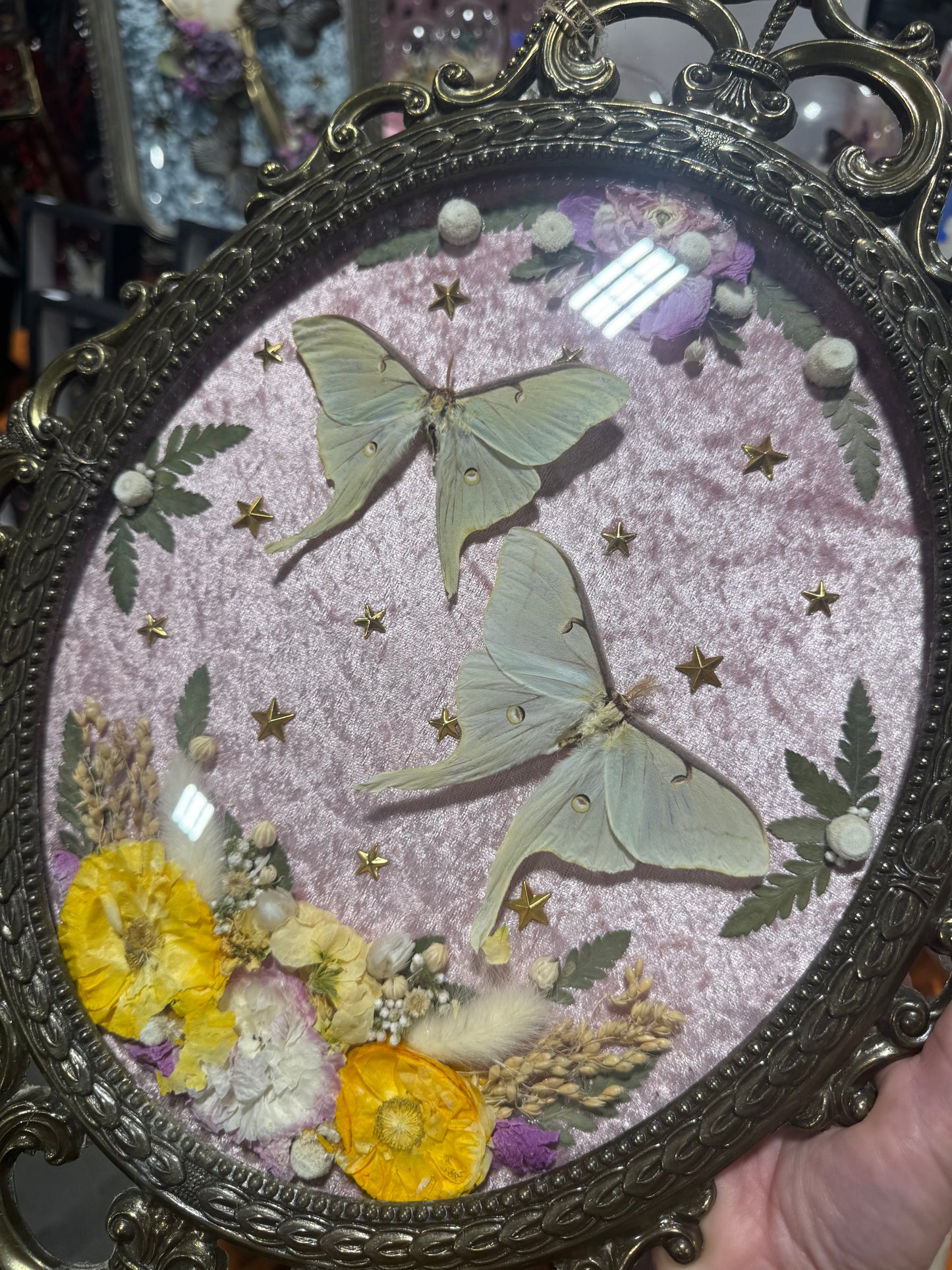 Betsy Luna Moth Celestial Whimsical Floral Vintage Bubble Glass Framed Artwork