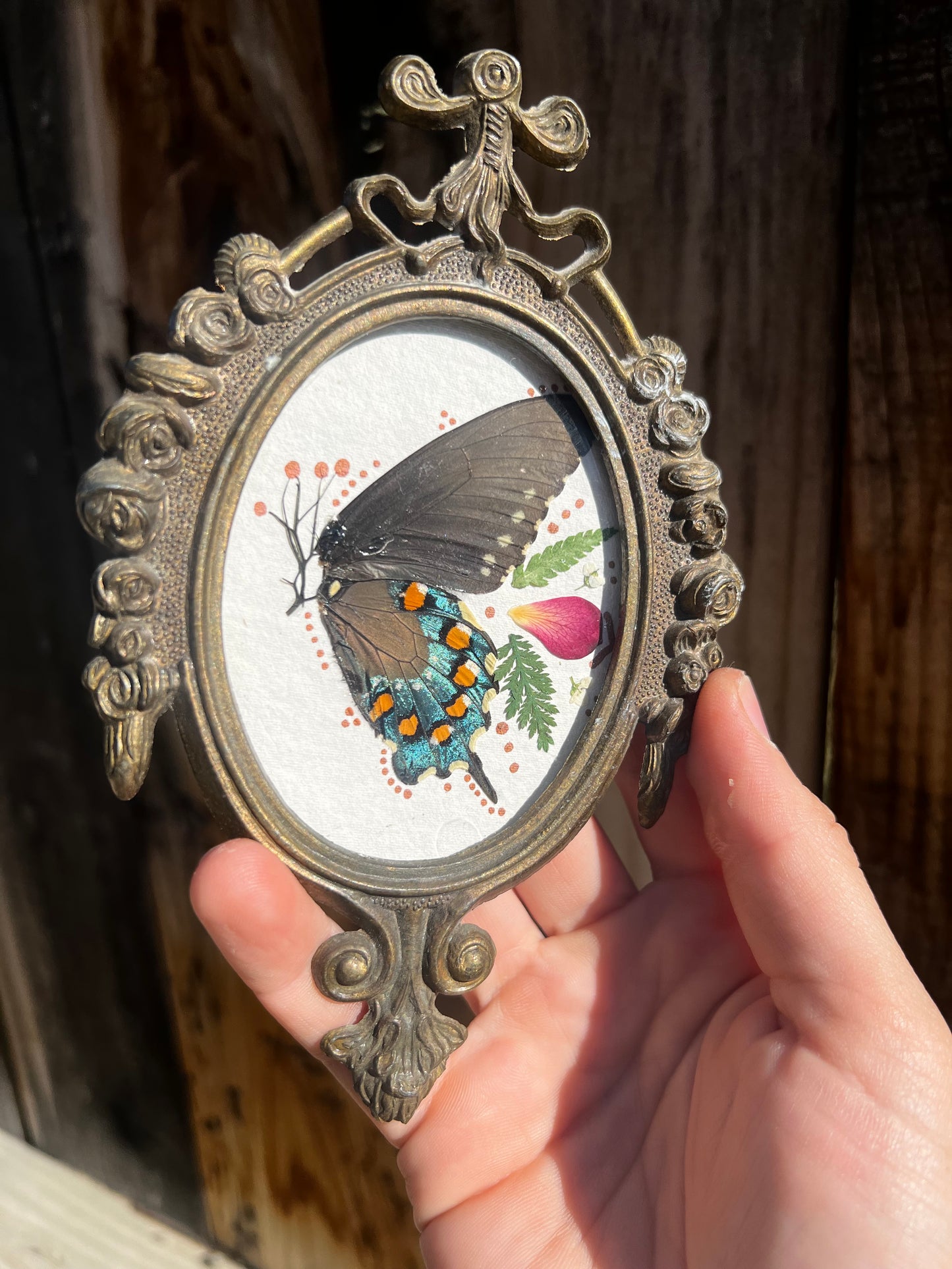 Antique Metal framed butterfly wings