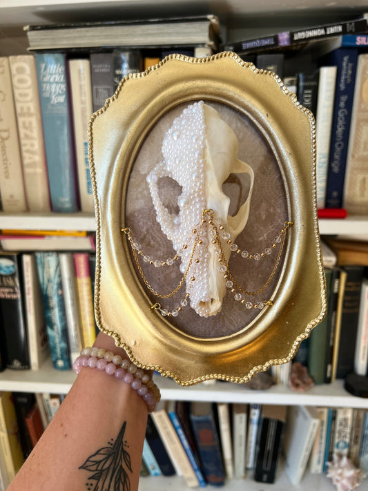 Delphine Fox Skull Faux Pearl Chained Framed Taxidermy Artwork