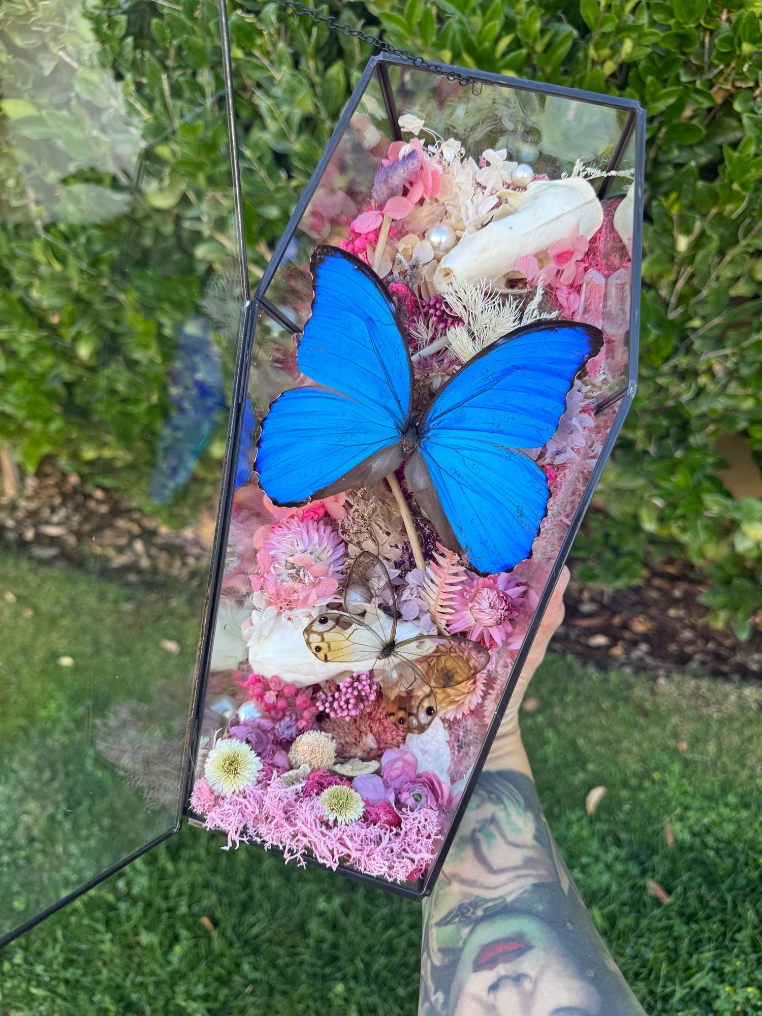 Oddities & Taxidermy
