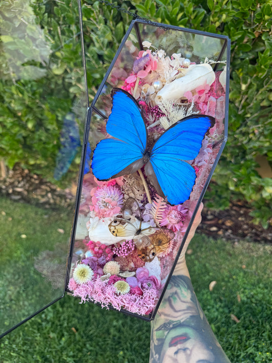 Arabella Morpho Butterfly Skunk Marten Skull Coffin Glass Terrarium Gothic Oddities Taxidermy Artwork