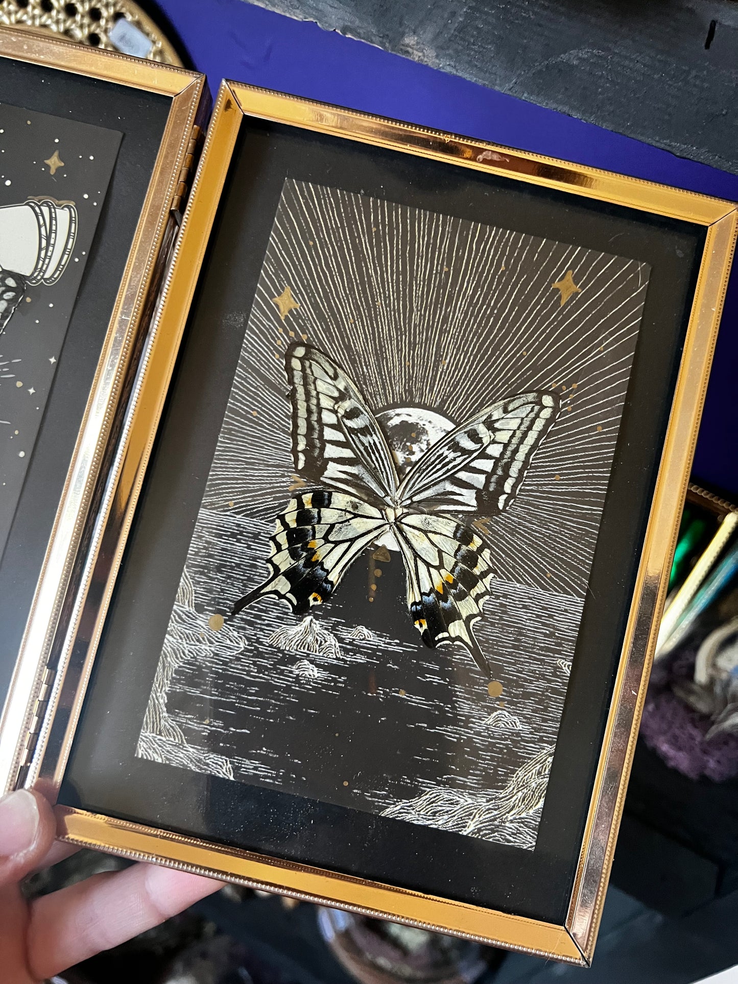 Double Framed Spiritual Art Swallowtail Butterfly Wing Entomology Art