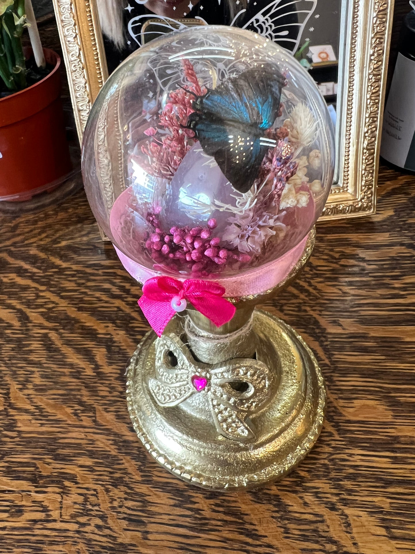Gigi Butterfly Oddities Butterfly Insect Dried Floral Pink Glass Dome Artwork