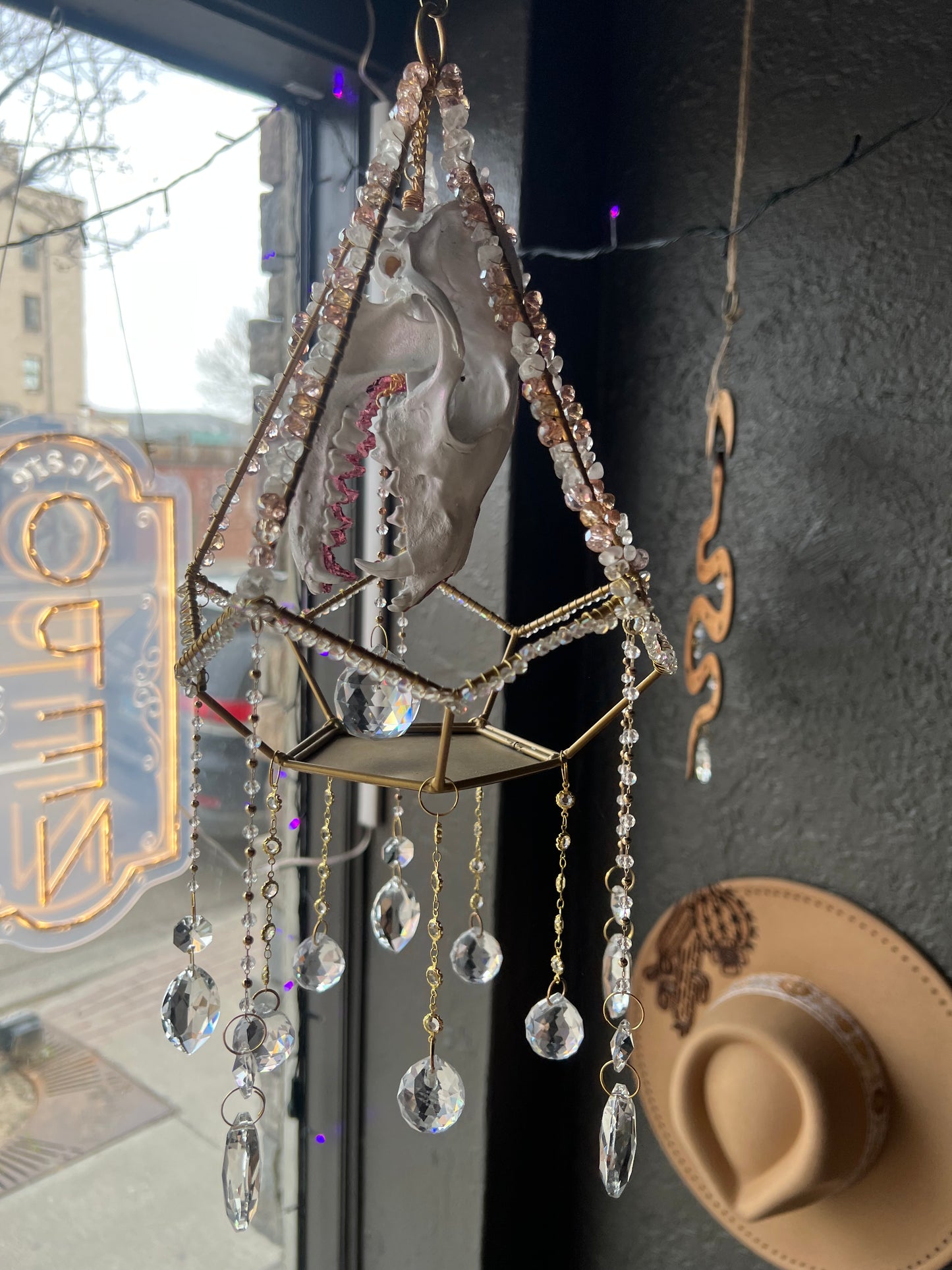 Althea Coyote Skull Mixed Media Taxidermy Oddities Geometric Crystal Suncatcher