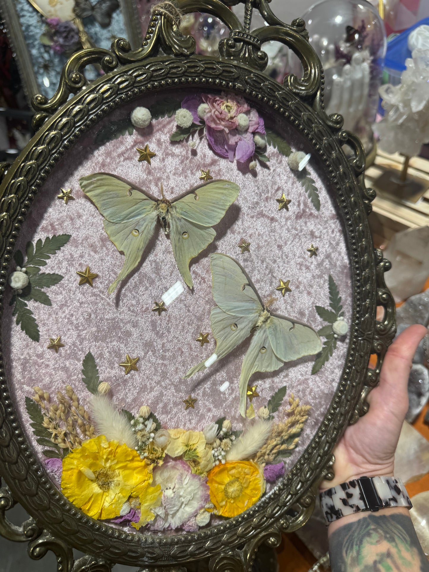 Betsy Luna Moth Celestial Whimsical Floral Vintage Bubble Glass Framed Artwork
