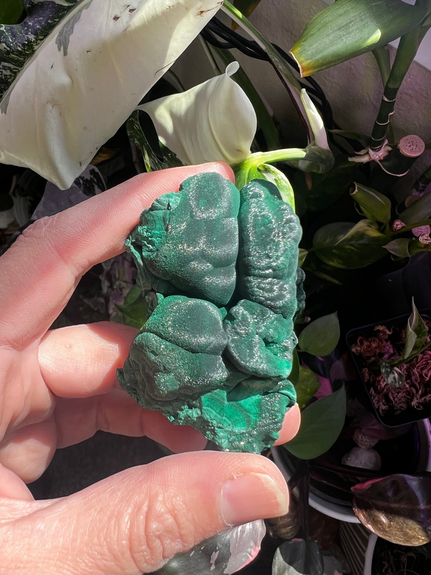 Botryoidal Velvet Fibrous Malachite #A