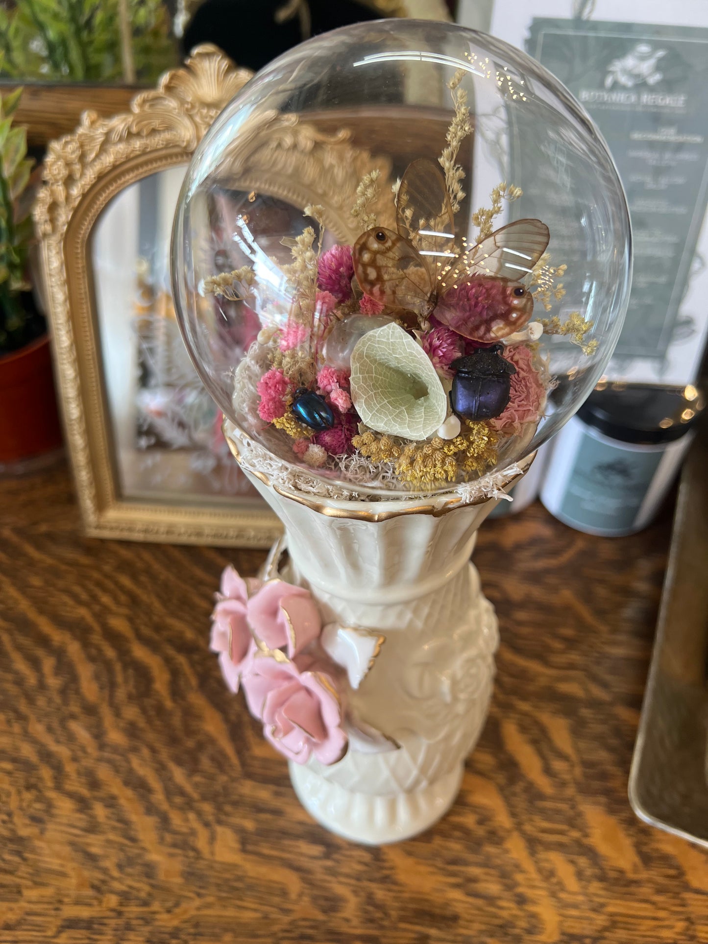 Frances Butterfly Beetle Insect Dried Flower Botanical Animal Bones Glass Dome Vintage Ceramic Artwork