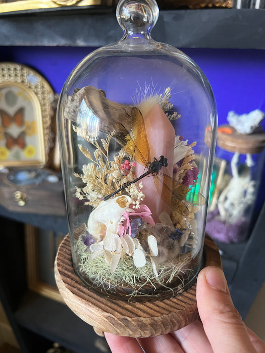 Nature Taxidermy Entomology Art with Hedgehog skull and Yellow Dragonfly in Cloche Glass Dome