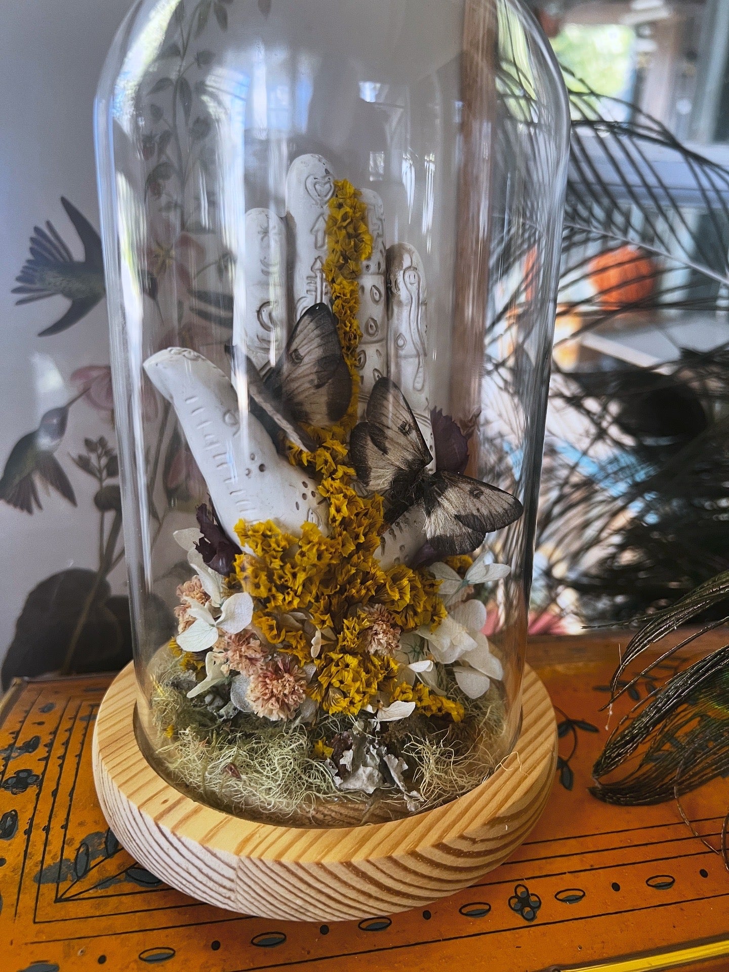 “Hiladora” Moth Oddities Witchy Taxidermy Entomology Glass Dome Artwork