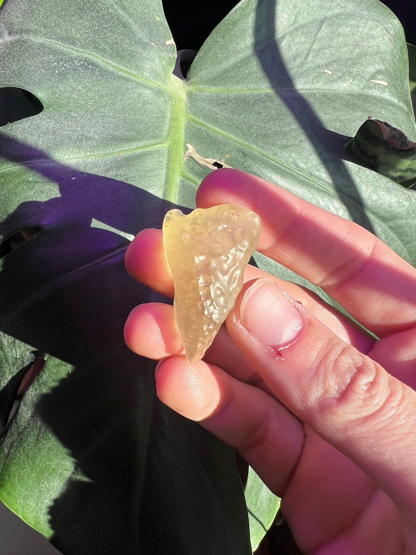 Libyan Desert Glass #B