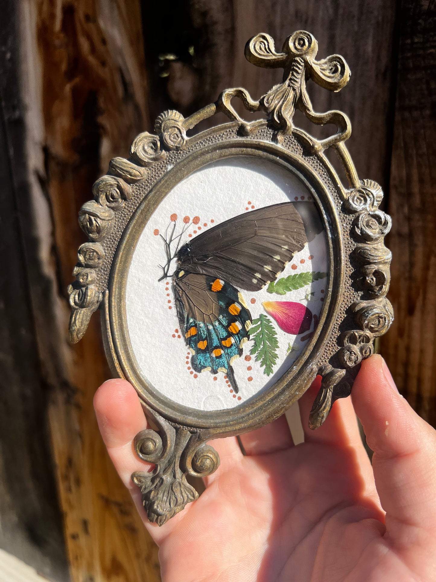 Antique Metal framed butterfly wings