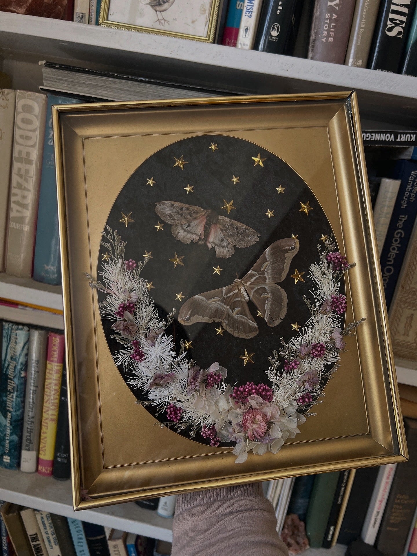 Hellion Moth Botanical Dried Floral Celestial Whimsy Vintage Framed Artwork