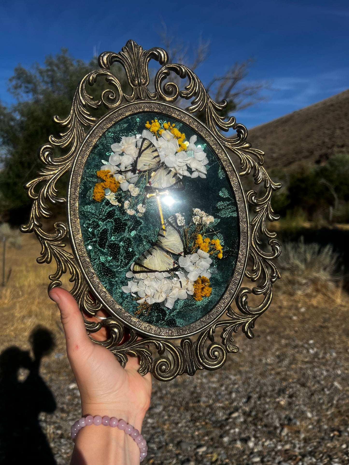 “Wings of Midsummer” Butterfly Insect Vintage Entomology Taxidermy Framed Oddities Artwork