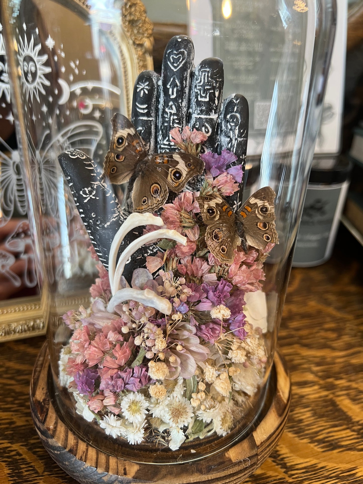 Zadie Butterfly Insect Entomology Animal Bone floral Botanical Oddities Taxidermy Glass Dome Artwotk